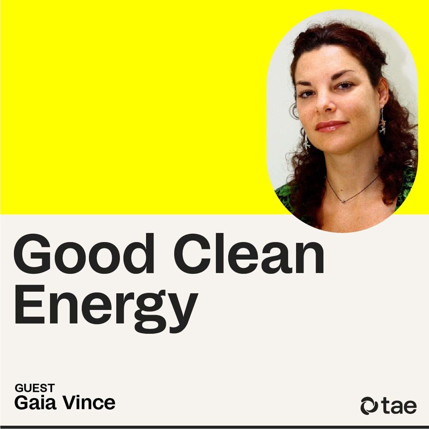 Energy is at the center of everything — including migration, with science journalist Gaia Vince