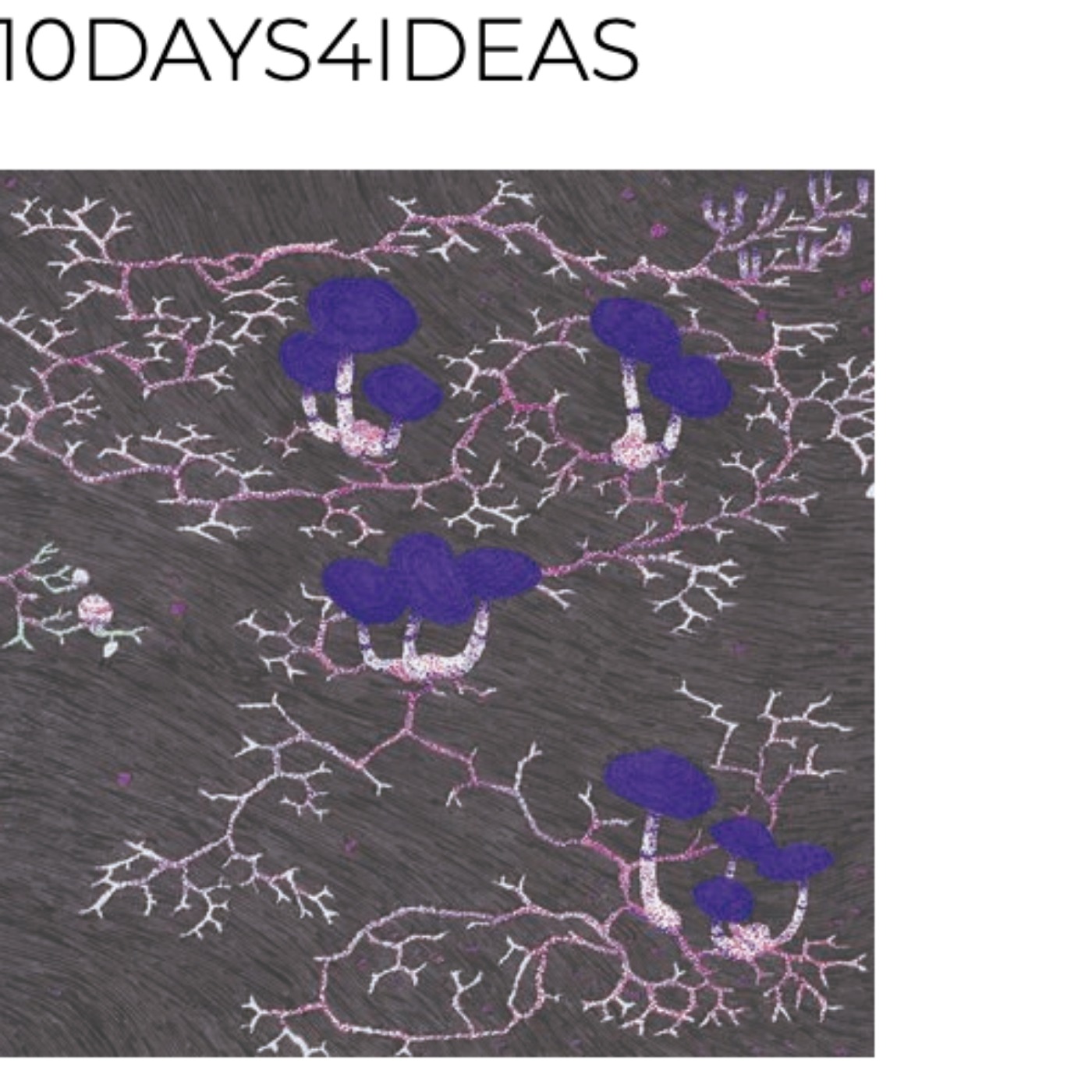 10Days4Ideas - 07-09-21 -  Pertuber les lignes, Pour une autre histoire de l’eau en milieu urbain (1/2) episode artwork