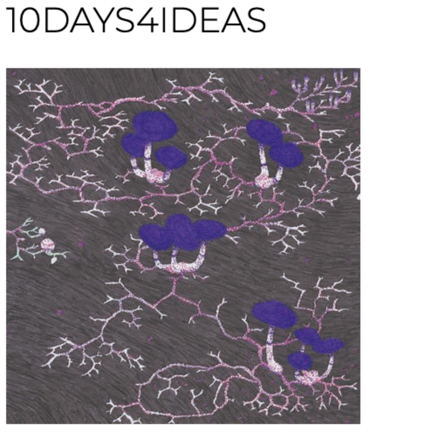 10Days4Ideas - 31-08-21 - Christophe Meierhans - The Good Life-retrouver des désirs qui aient du sens episode artwork