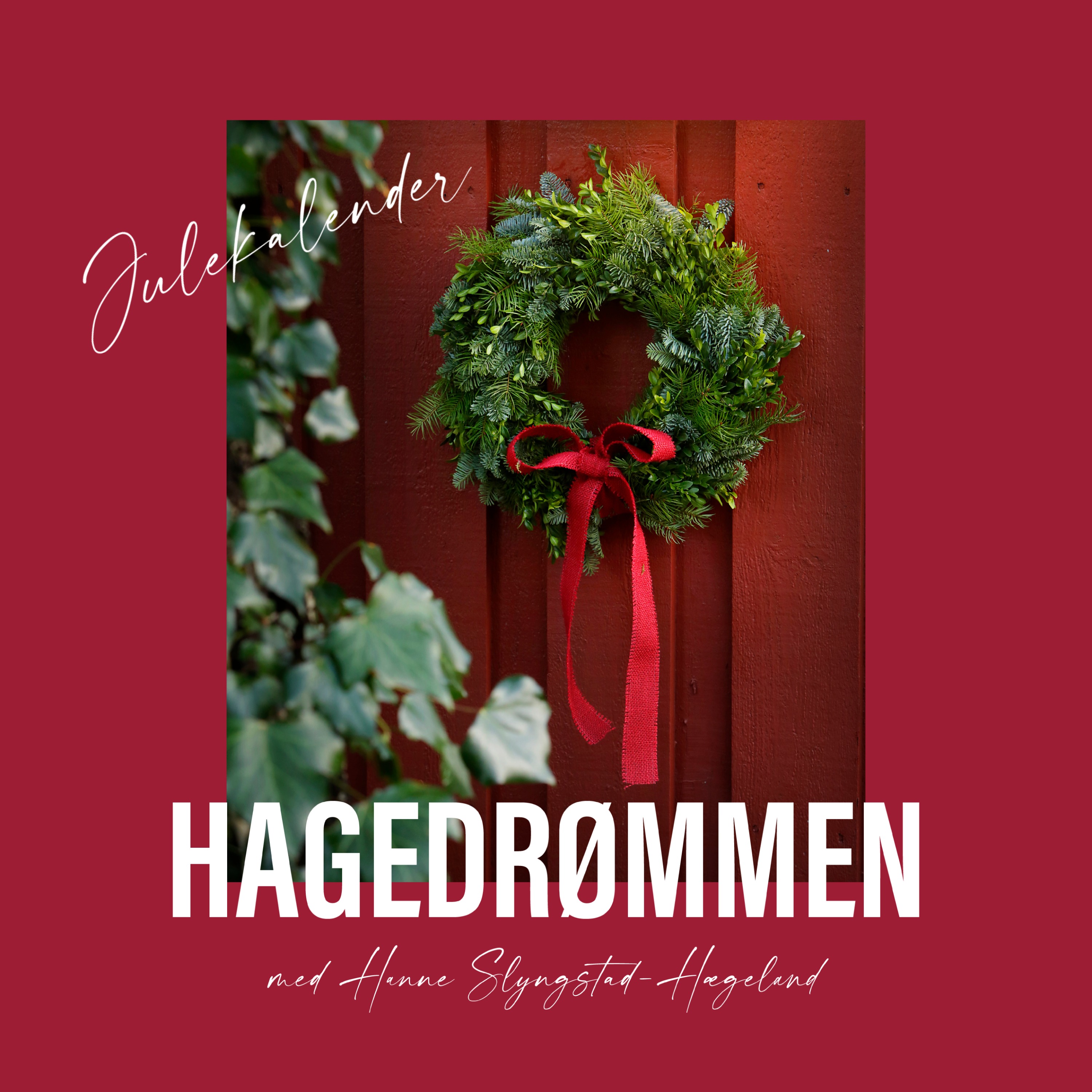 Hagedrømmen