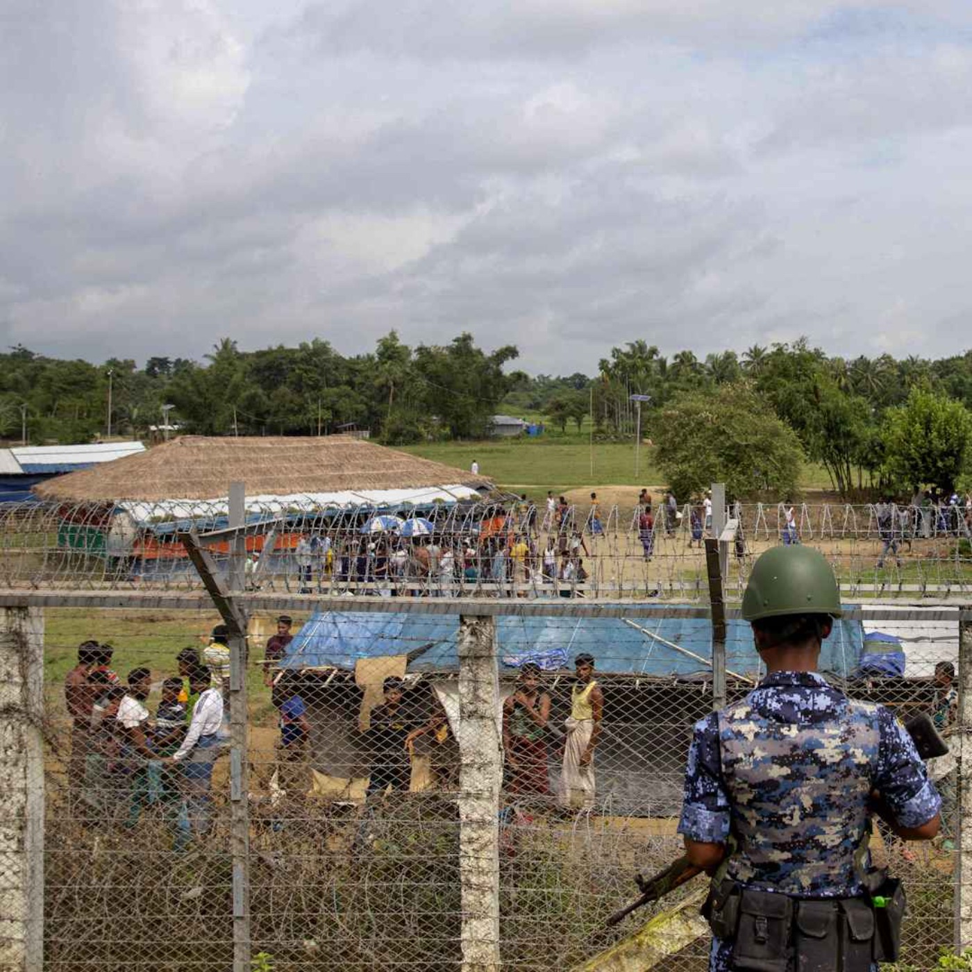 နေ့စဉ်တိုက်ရိုက်ထုတ်လွှင့်ချက် (၂ဝ၂၄ နိုဝင်ဘာ ၄ ရက် မနက်ပိုင်း) episode artwork