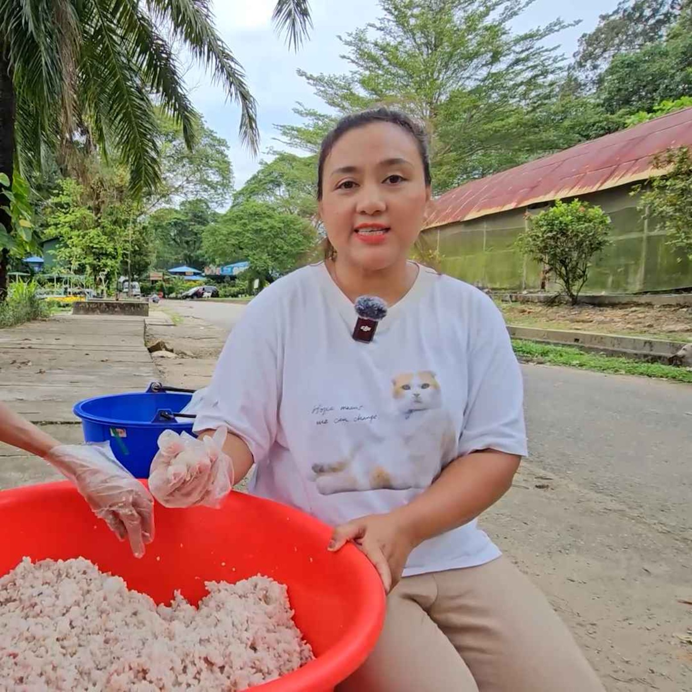 နေ့စဉ်တိုက်ရိုက်ထုတ်လွှင့်ချက် (၂ဝ၂၄ နိုဝင်ဘာ ၁၅ ရက် ညပိုင်း) episode artwork