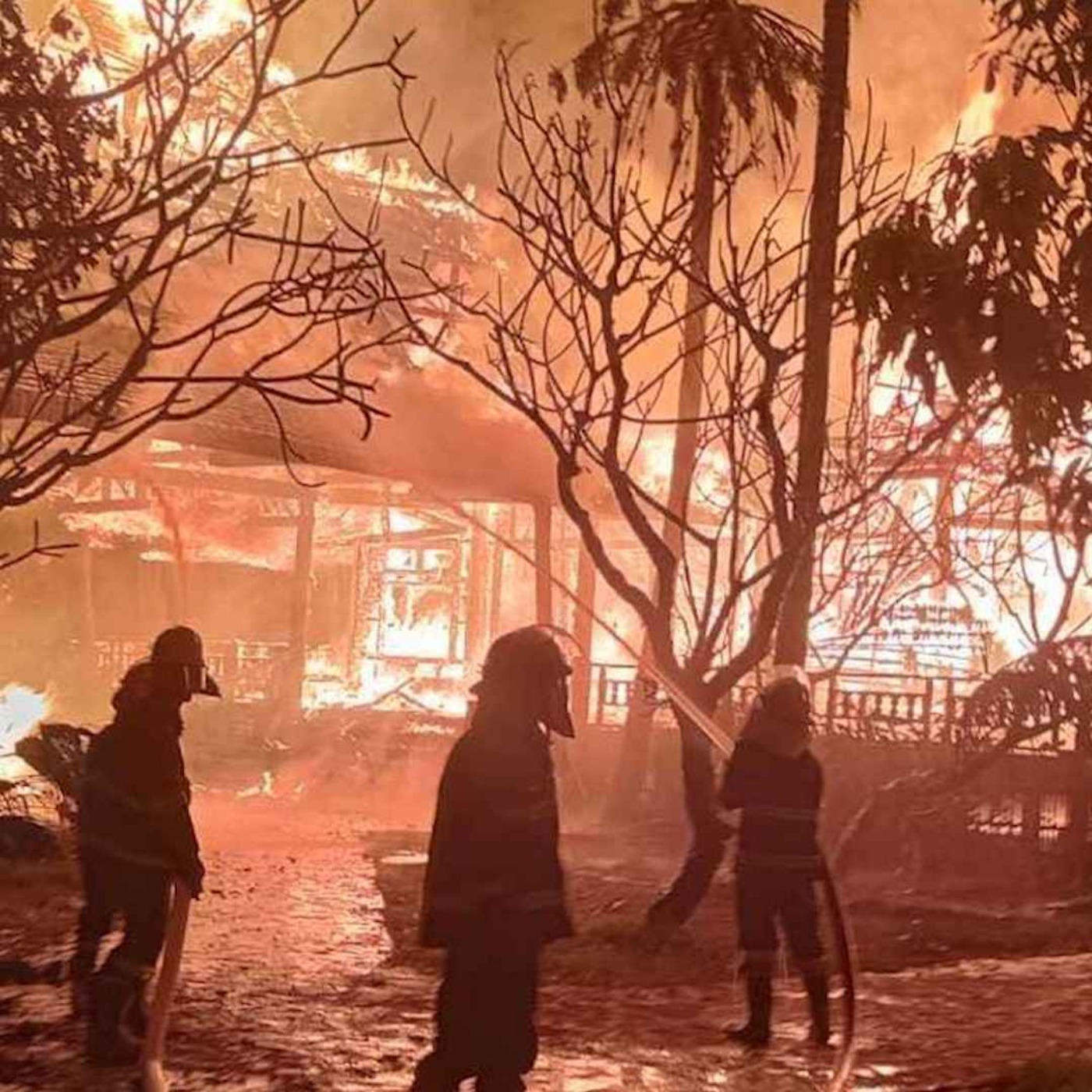 နေ့စဉ်တိုက်ရိုက်ထုတ်လွှင့်ချက် (၂၀၂၄ နိုဝင်ဘာ ၁၆ ရက် မနက်ပိုင်း) episode artwork