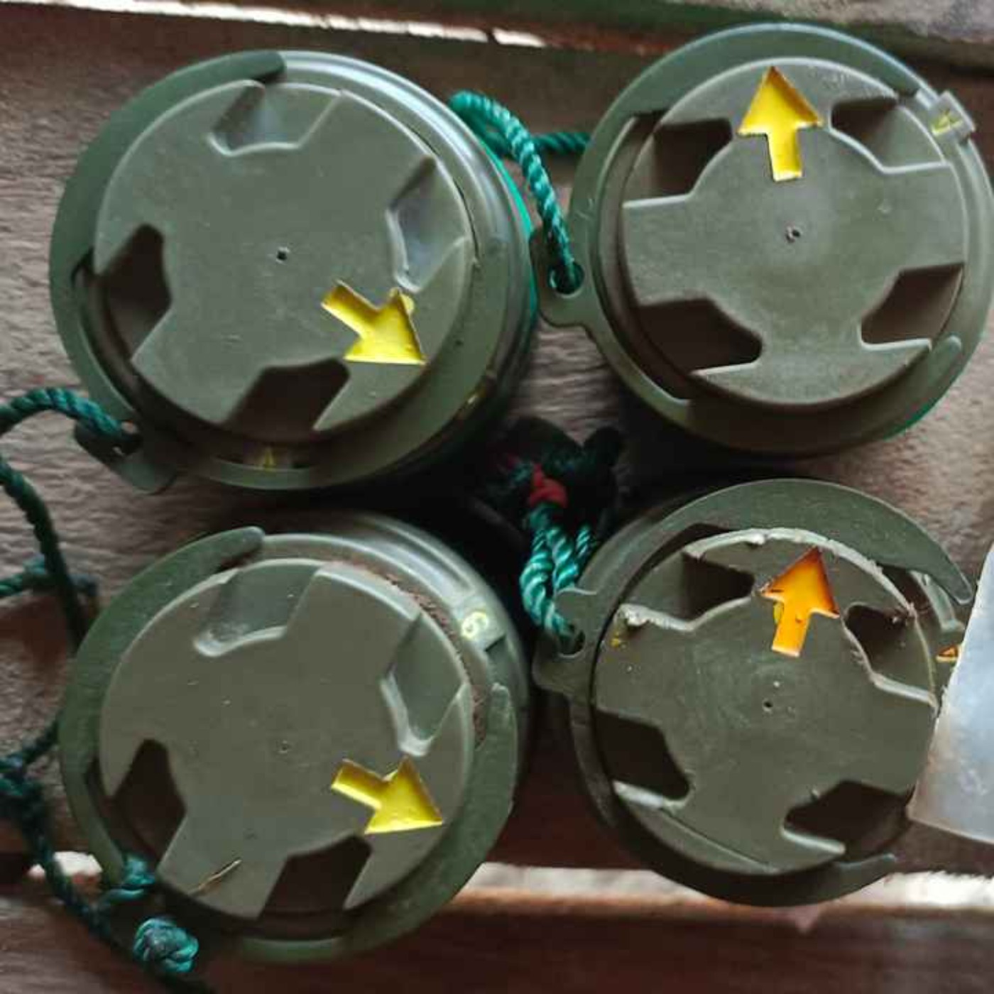 နေ့စဉ်တိုက်ရိုက်ထုတ်လွှင့်ချက် (၂ဝ၂၄ နိုဝင်ဘာ ၂၀ ရက် ညပိုင်း) episode artwork