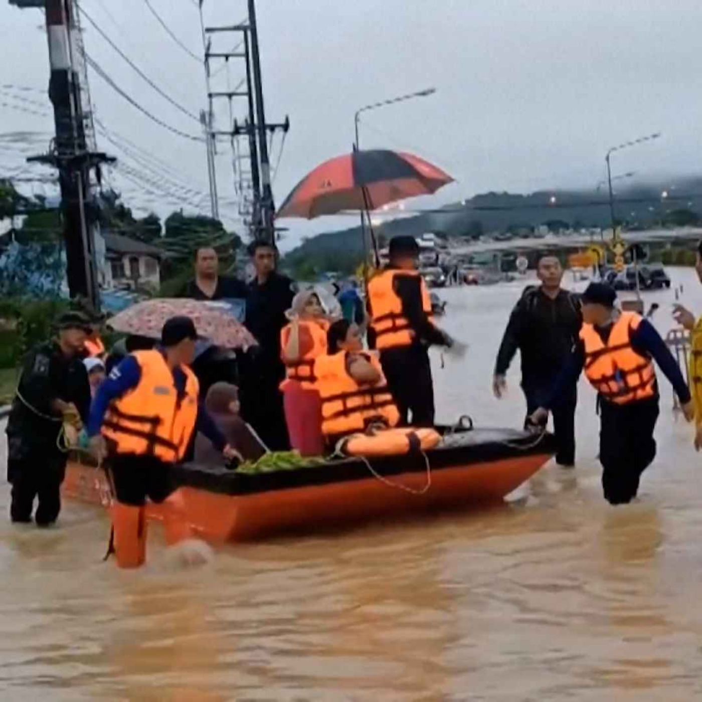နေ့စဉ်တိုက်ရိုက်ထုတ်လွှင့်ချက် (၂ဝ၂၄ နိုဝင်ဘာ ၃၀ ရက် ညပိုင်း) episode artwork