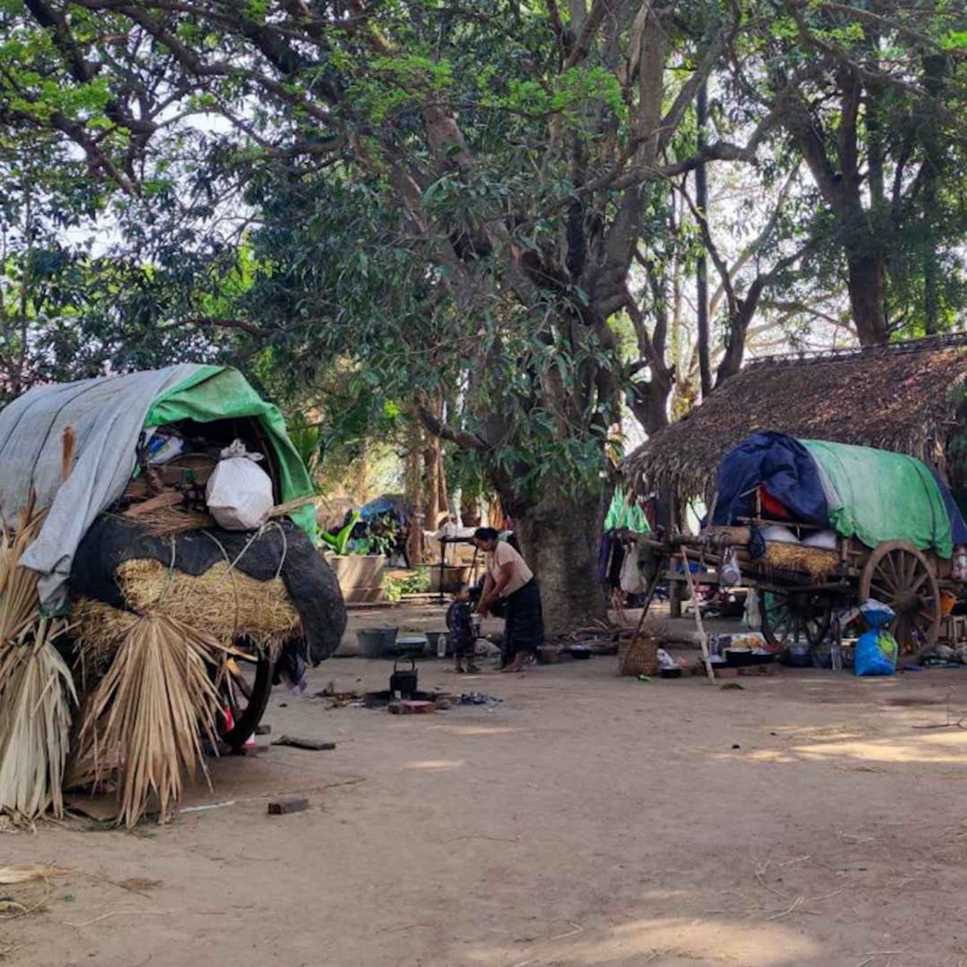 နေ့စဉ်တိုက်ရိုက်ထုတ်လွှင့်ချက် (၂ဝ၂၄ ဒီဇင်ဘာ ၅ ရက် ညပိုင်း) episode artwork