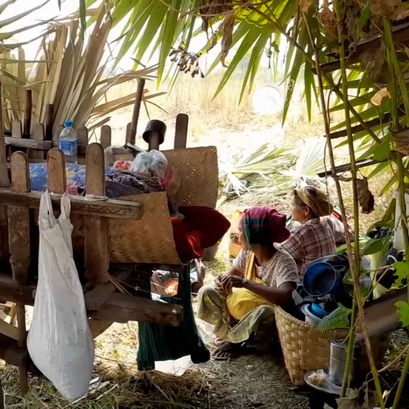 နေ့စဉ်တိုက်ရိုက်ထုတ်လွှင့်ချက် (၂ဝ၂၅  ဇန်နဝါရီ  ၁  ရက် ညပိုင်း) episode artwork