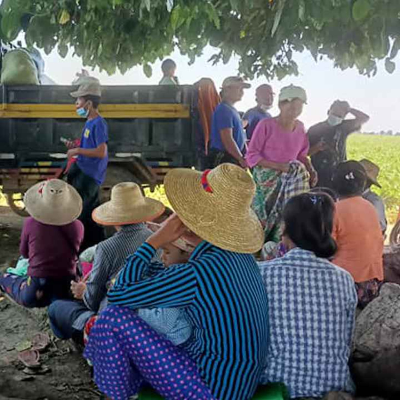 နေ့စဉ်တိုက်ရိုက်ထုတ်လွှင့်ချက် (၂၀၂၅ ဖေဖော်ဝါရီ ၄ ရက် ညပိုင်း) episode artwork