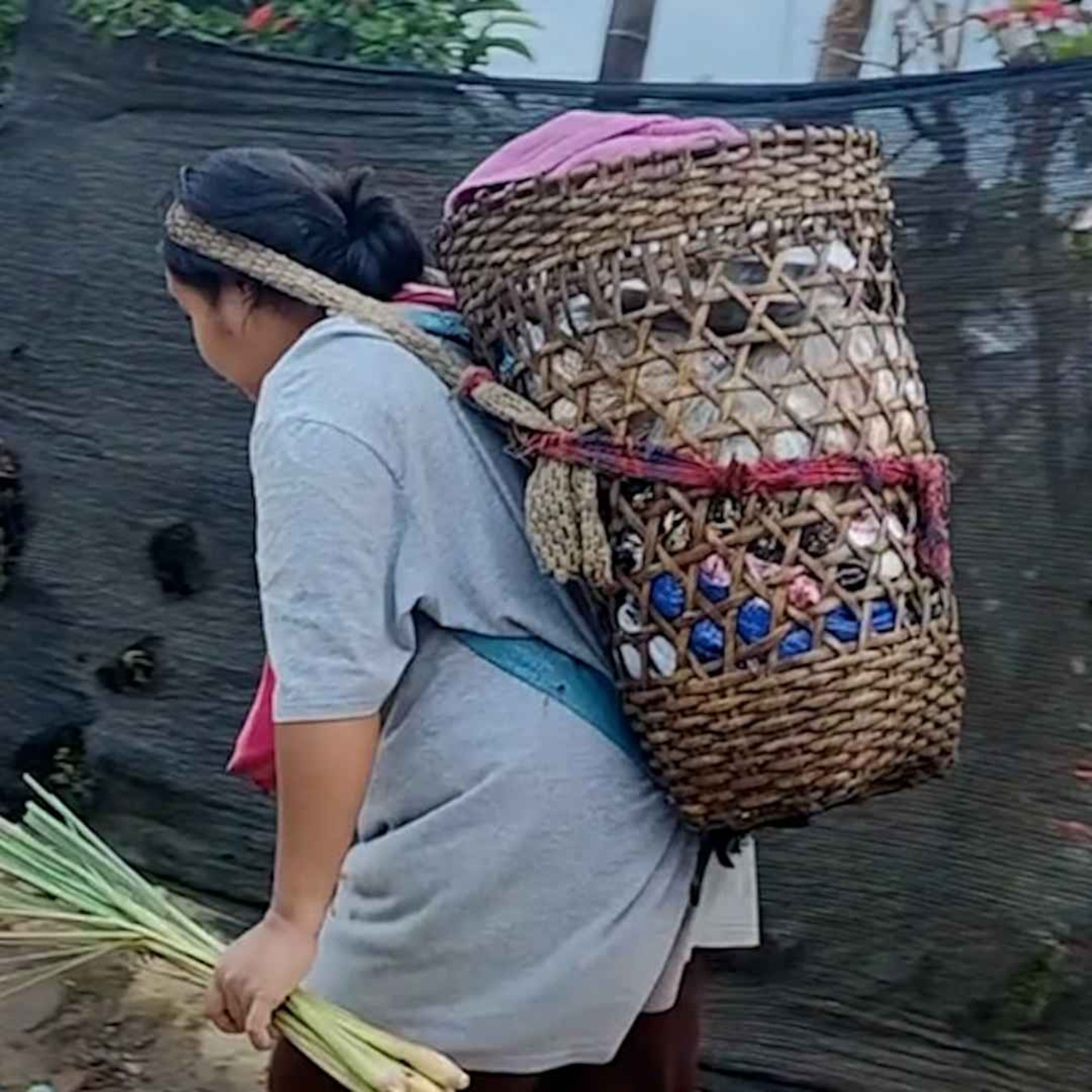 နေ့စဉ်တိုက်ရိုက်ထုတ်လွှင့်ချက် (၂ဝ၂၅ ဖေဖော်ဝါရီ ၁၉ ရက် မနက်ပိုင်း) episode artwork