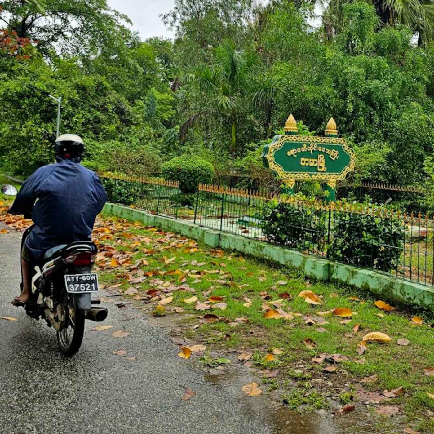 နေ့စဉ်တိုက်ရိုက်ထုတ်လွှင့်ချက်( ၂၀၂၅ ဖေဖော်ဝါရီ ၂၄ ရက် ညပိုင်း) episode artwork