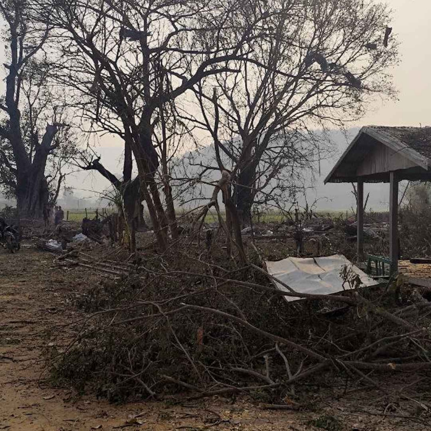 နေ့စဉ်တိုက်ရိုက်ထုတ်လွှင့်ချက်( ၂၀၂၅ မတ် ၁၀ ရက် ညပိုင်း) episode artwork