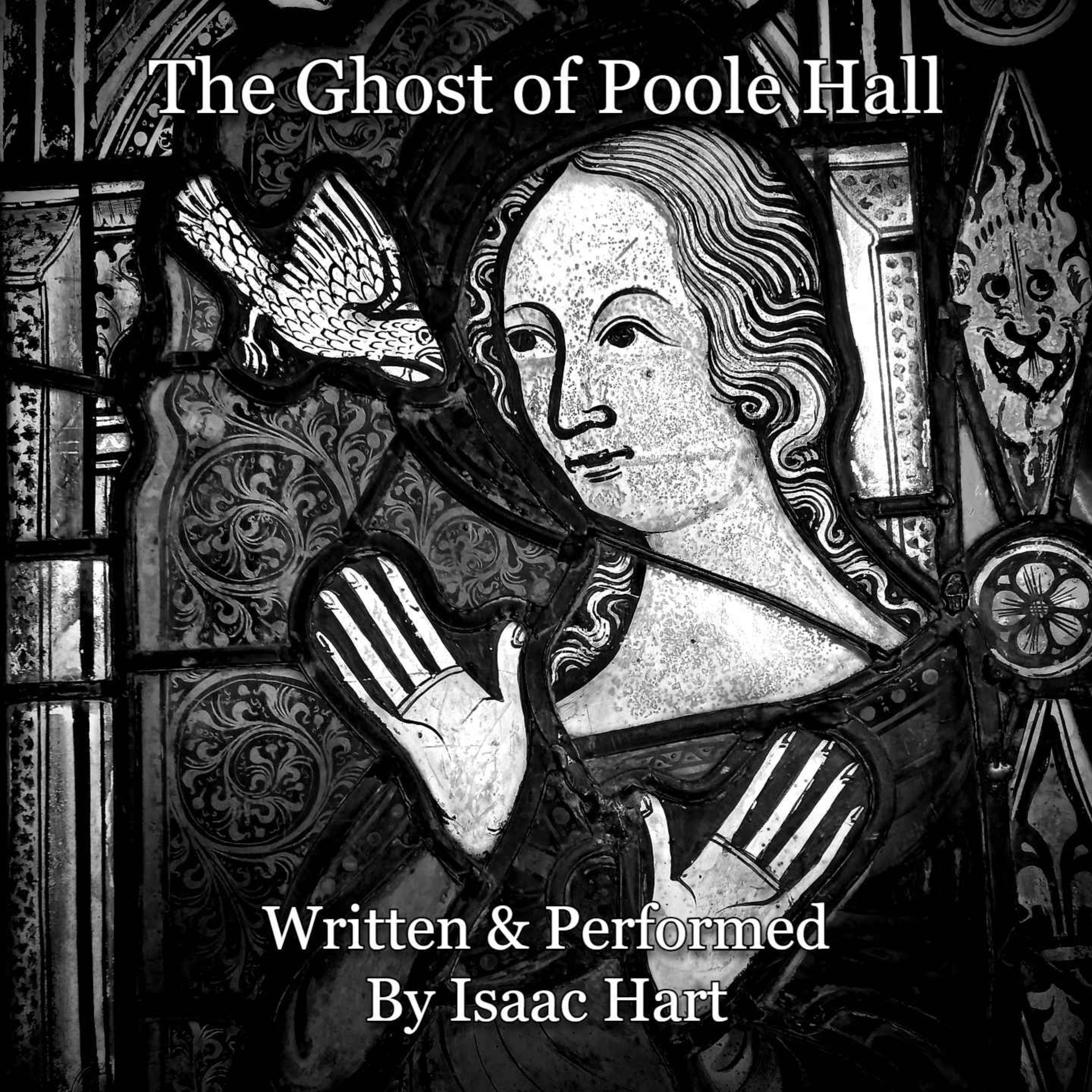 Ghost in the Museum