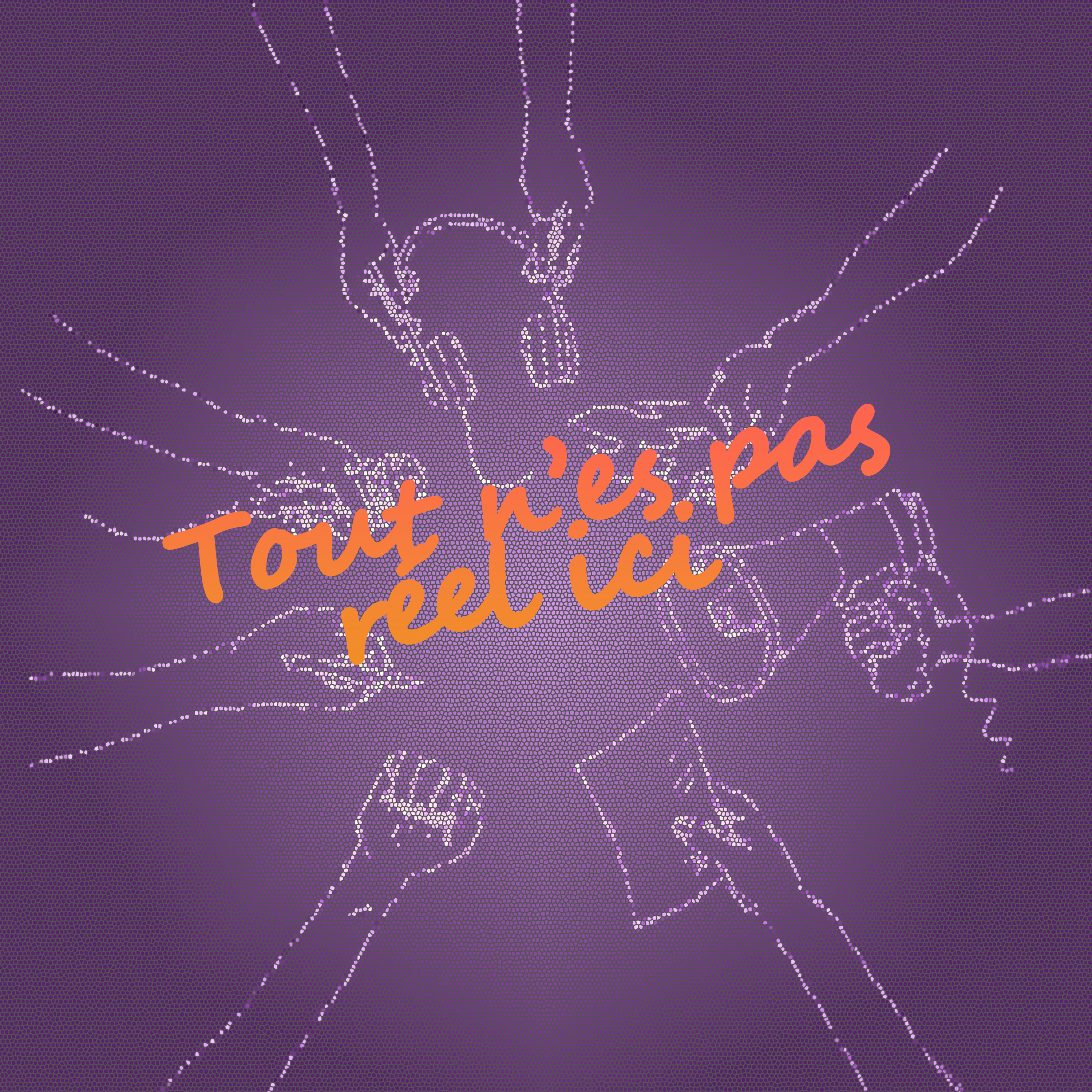 Tout n'est pas réel ici (collège A. France, Les Pavillons-sous_bois)