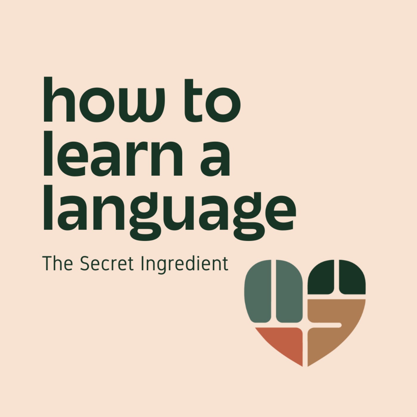 How to Learn a Language