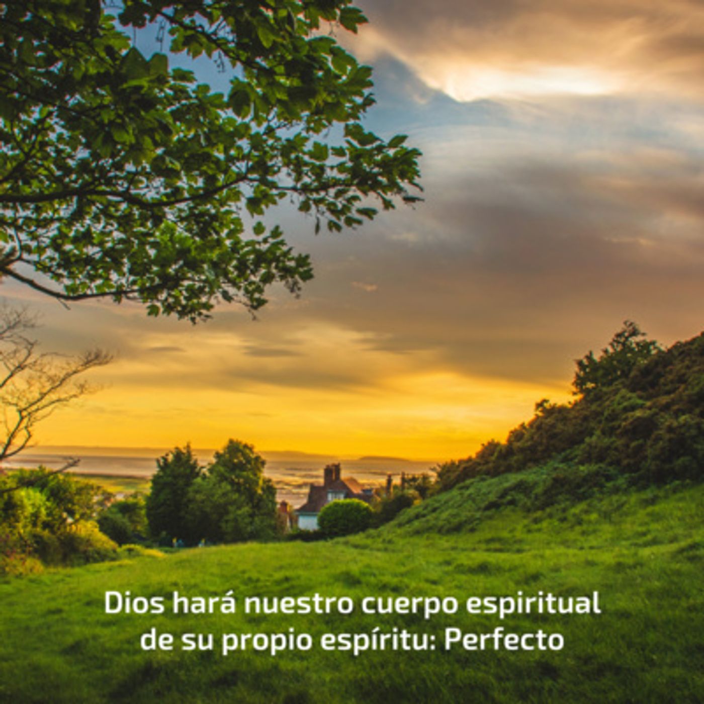 Portada de Temas Bíblicos