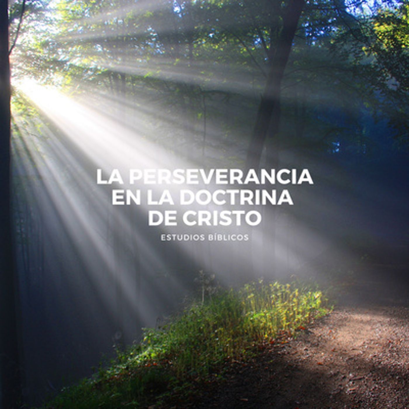 Portada de Temas Bíblicos