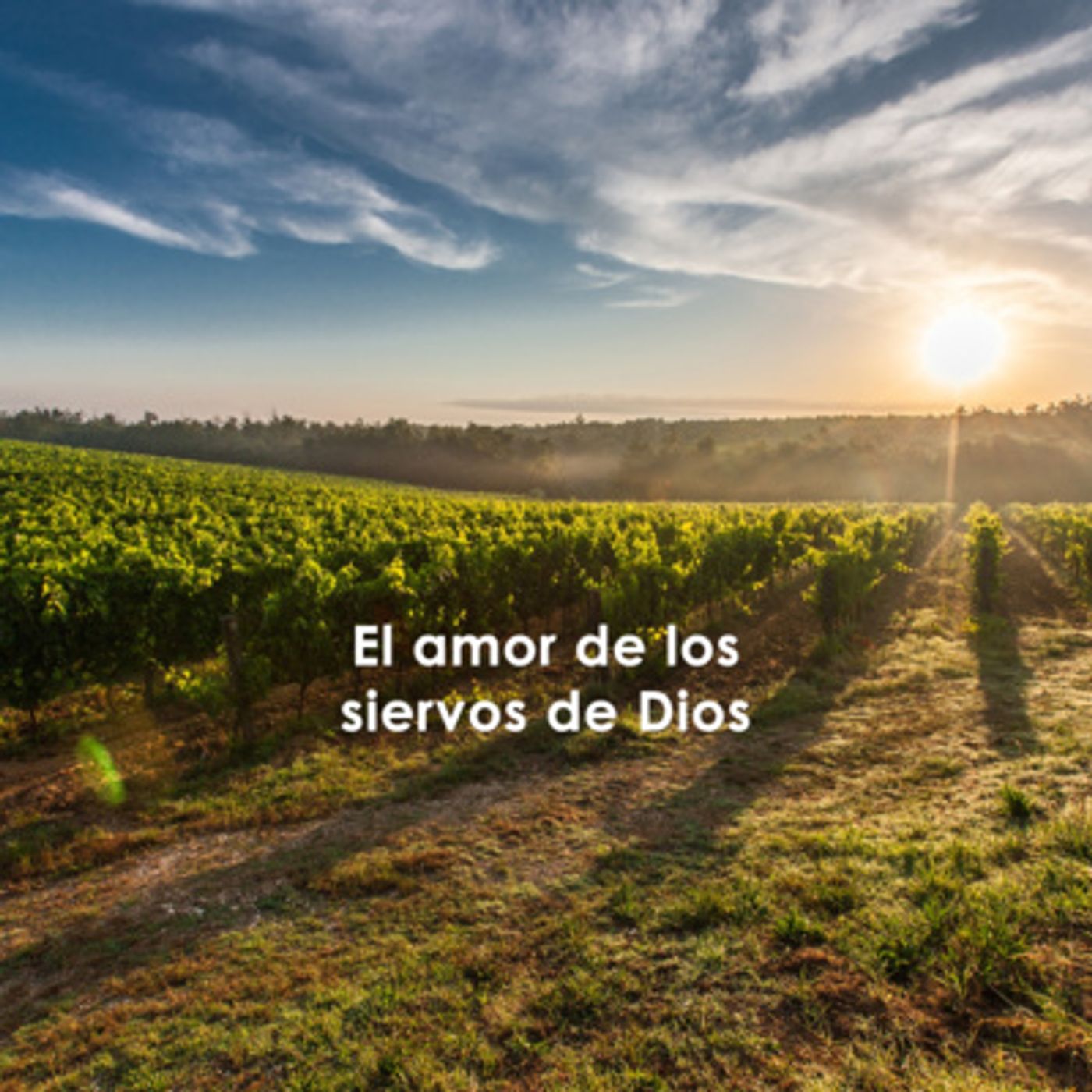 Portada de Temas Bíblicos