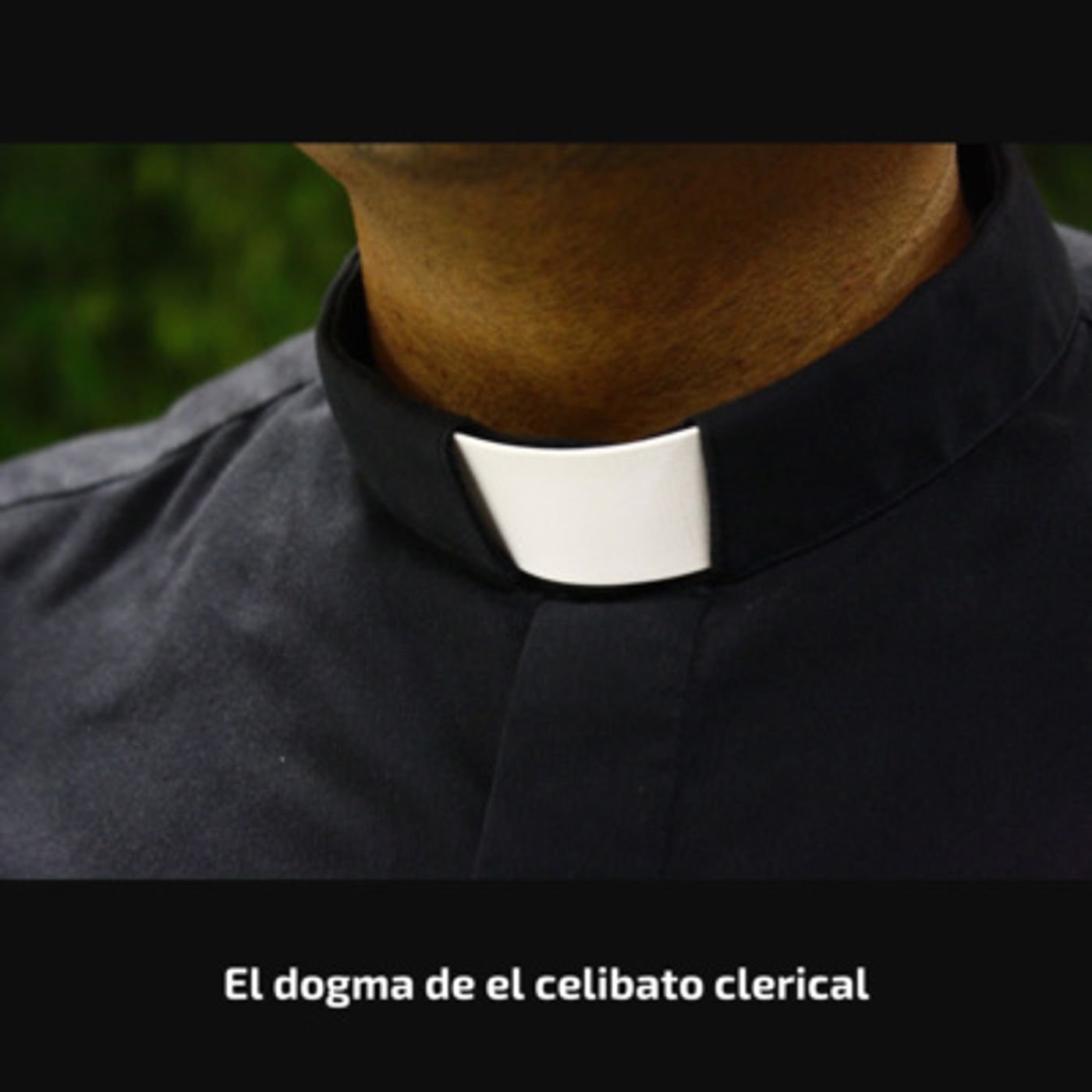 Portada de Temas Bíblicos