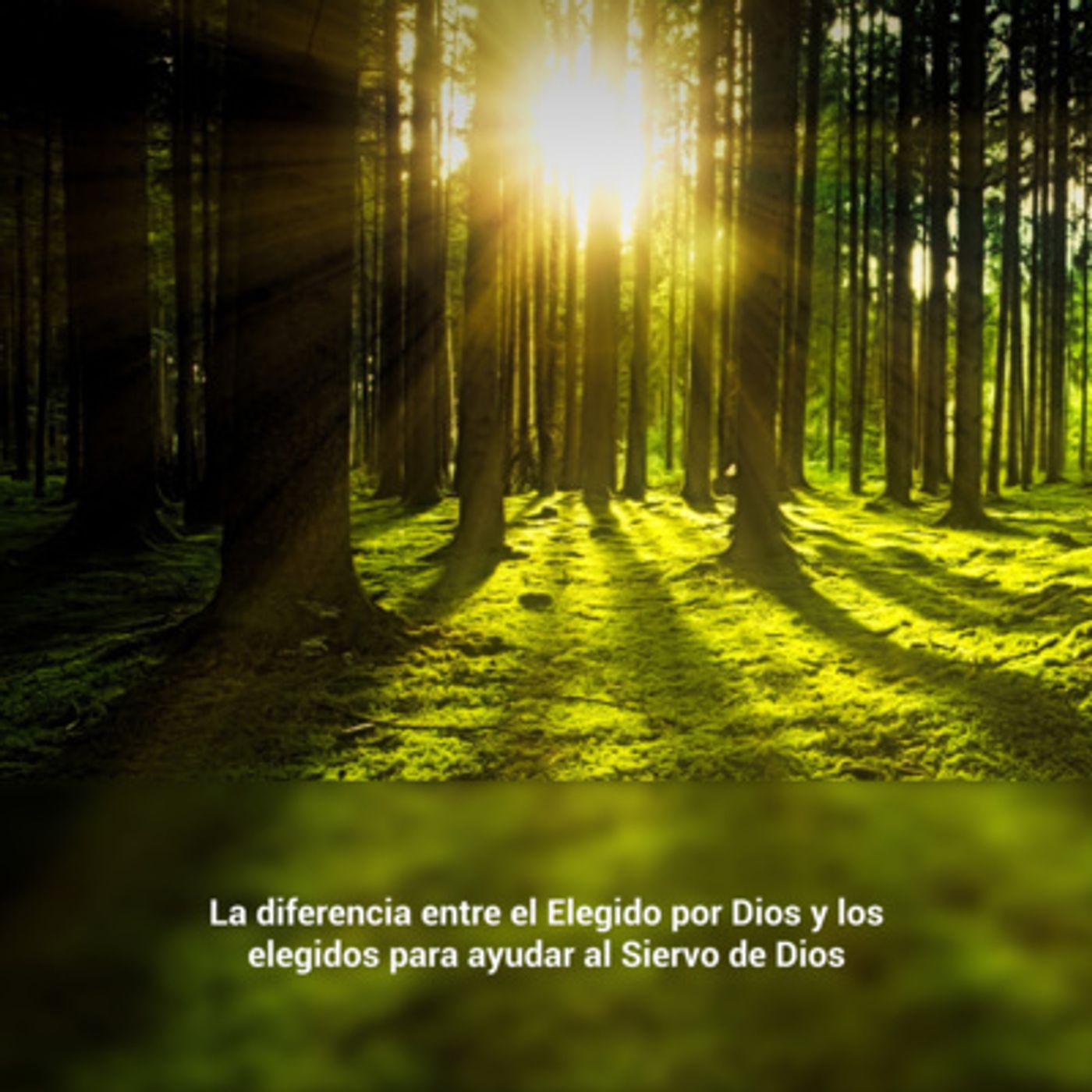 Portada de Temas Bíblicos