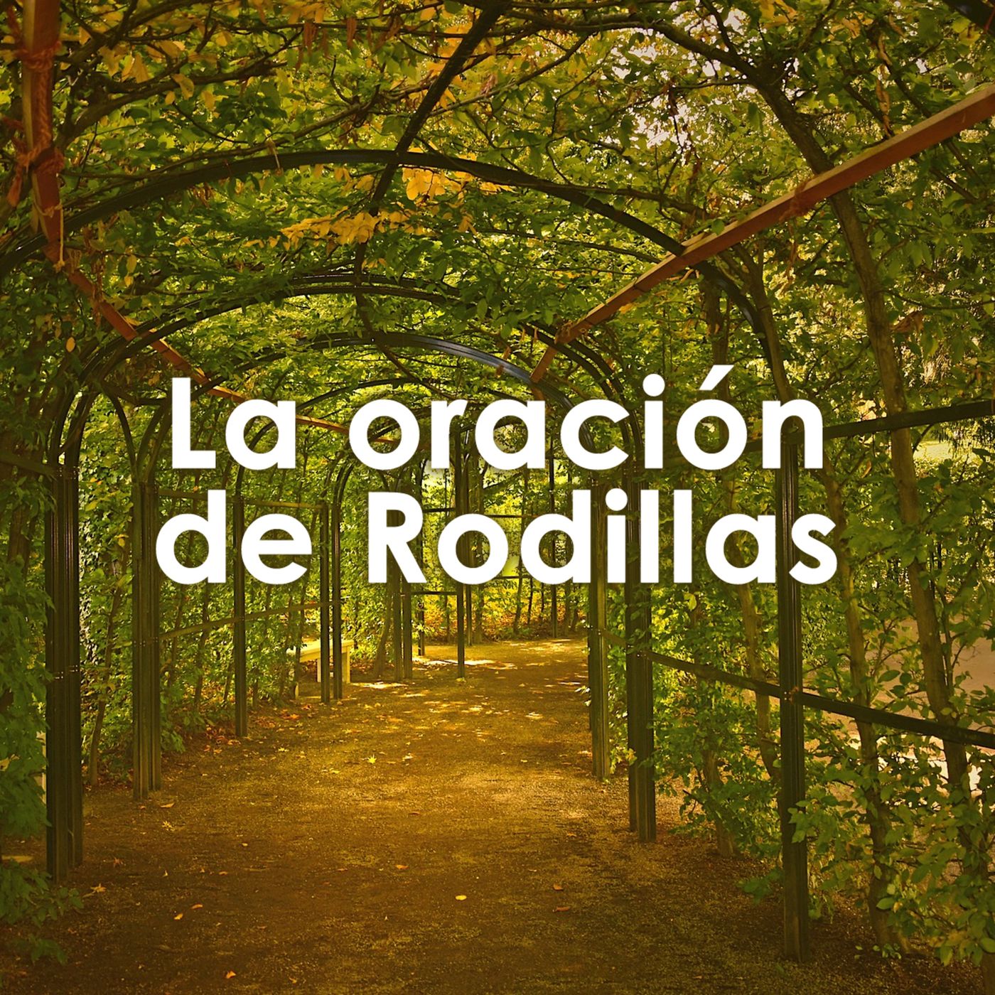Portada de Temas Bíblicos