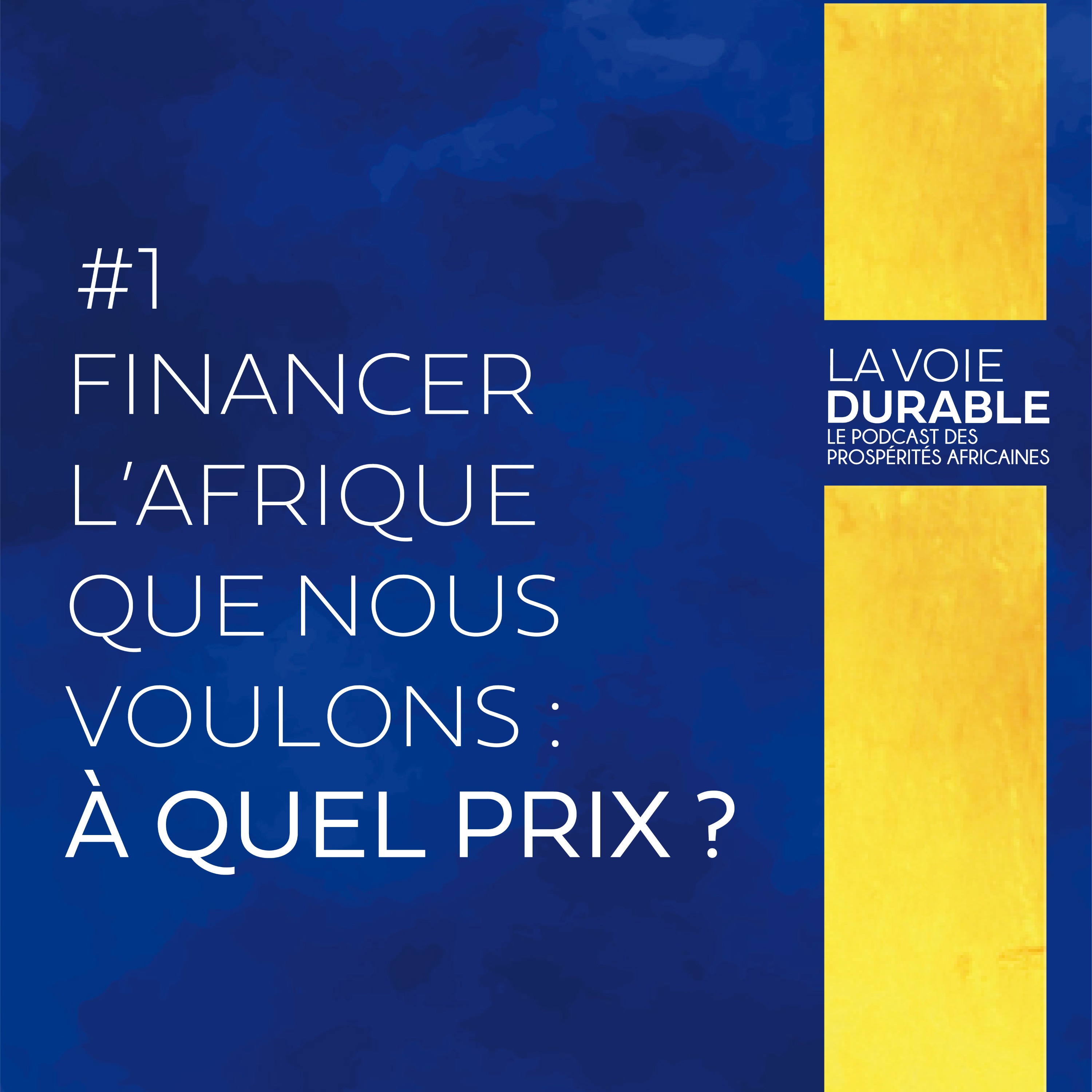 Financer l'Afrique que nous voulons : à quel prix?