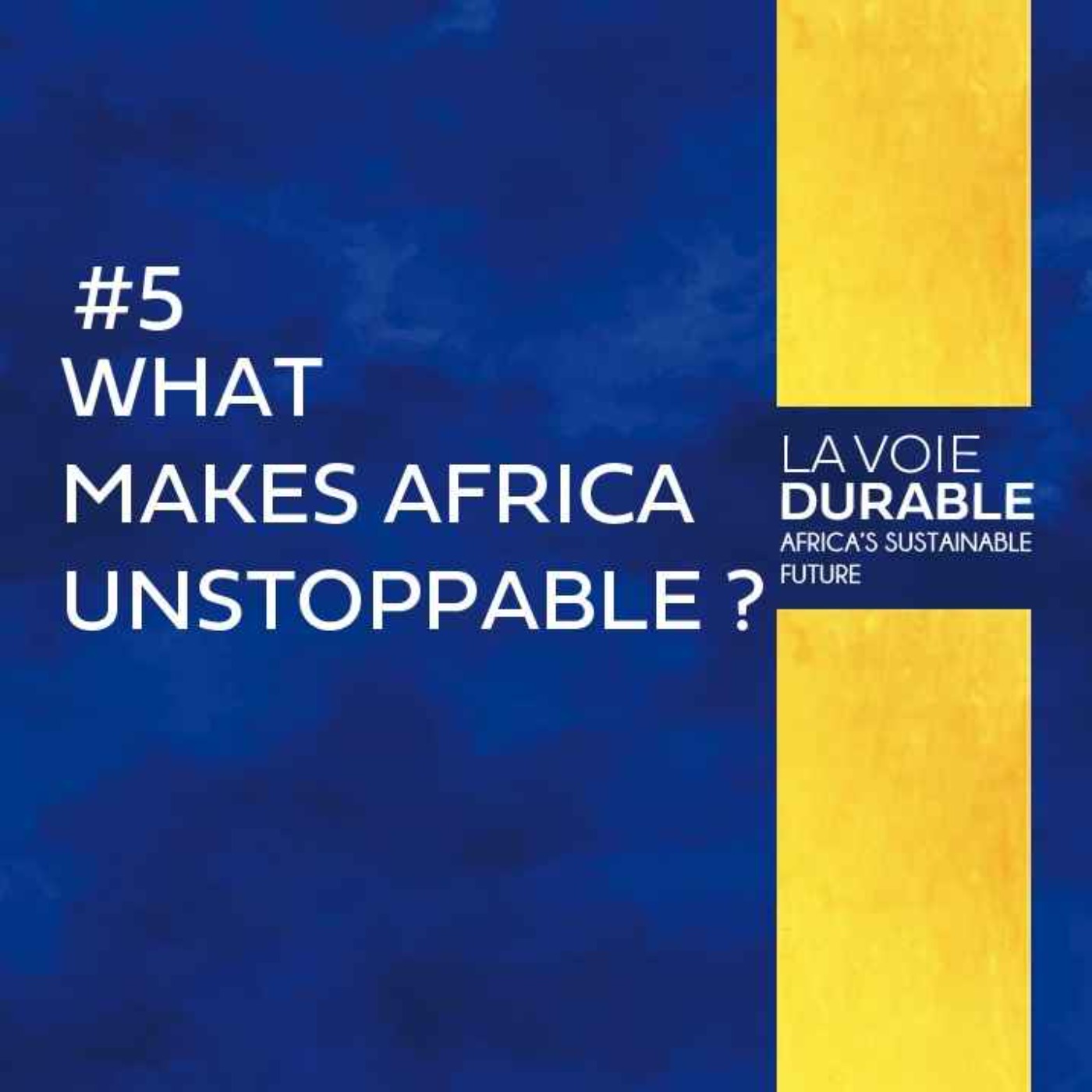 What makes Africa Unstoppable ? What makes Africa Unstoppable ?