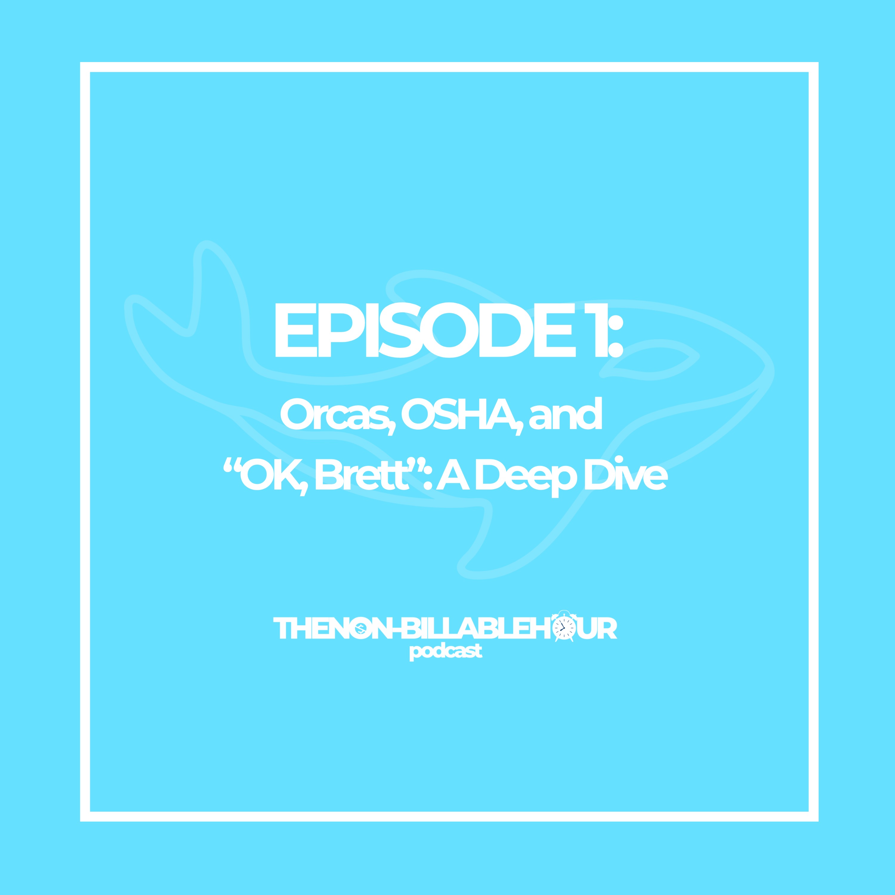 Orcas, OSHA, and "OK, Brett": A Deep Dive episode artwork