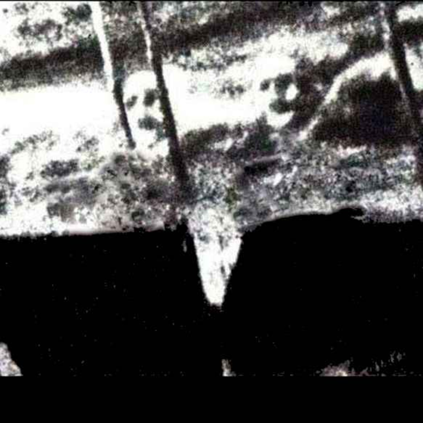 Les Visages fantômes du SS Watertown [MYSTERE] Chroniques d'une image