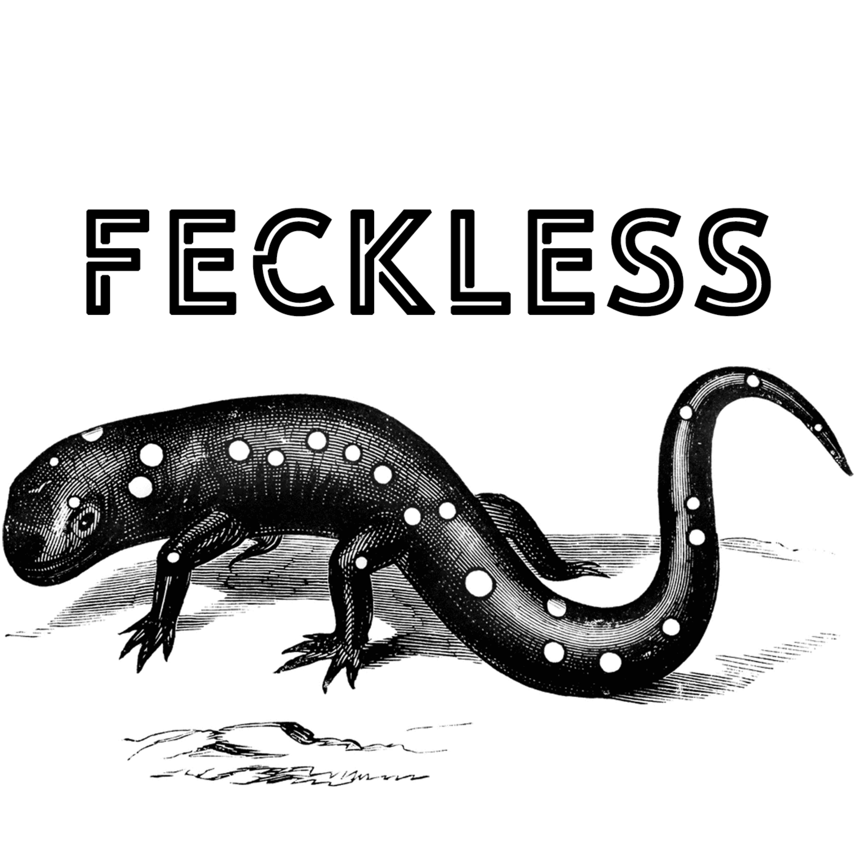 Secret Language of Birds - pt. 1