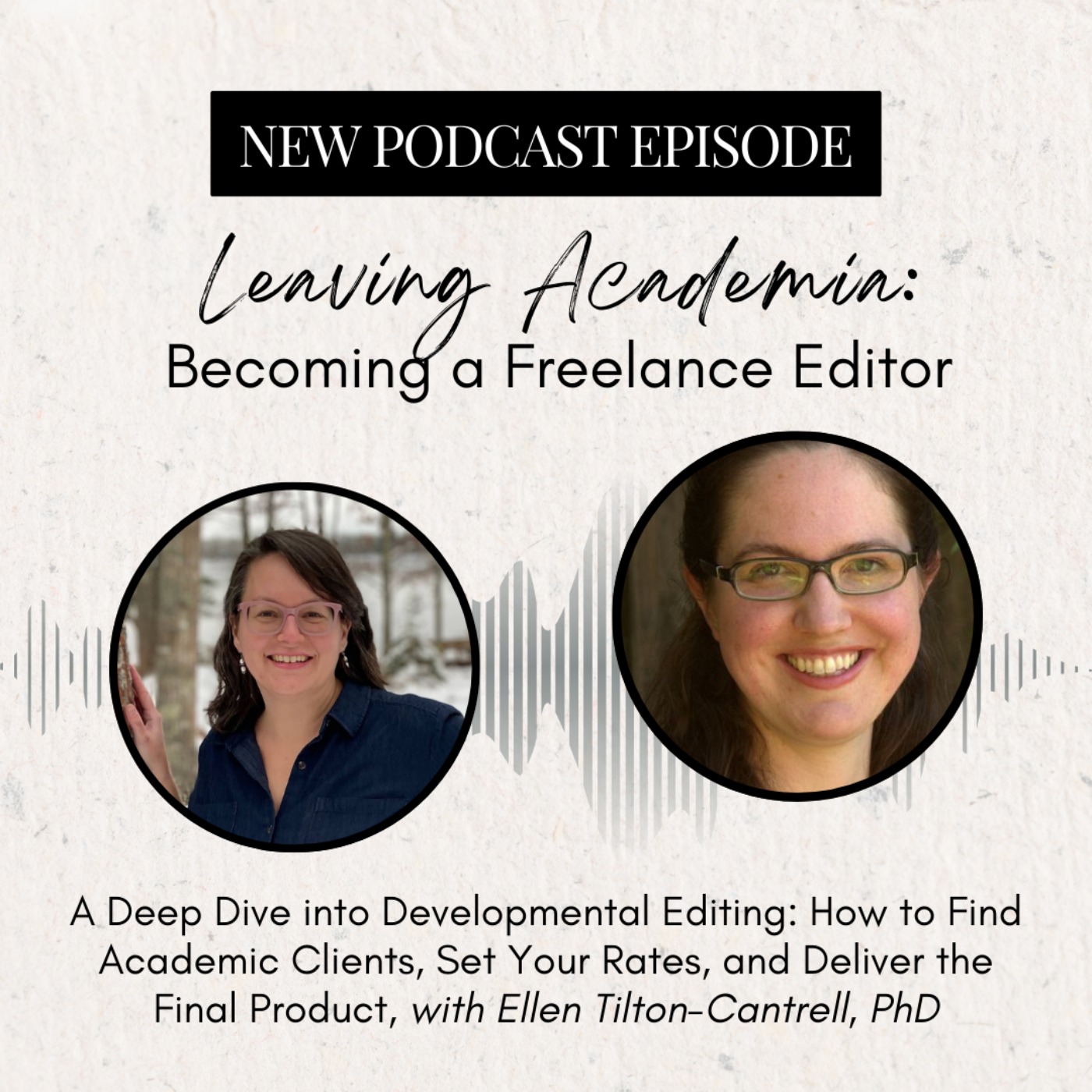 A Deep Dive into Developmental Editing: How to Find Academic Clients, Set Your Rates, and Deliver the Final Product episode artwork