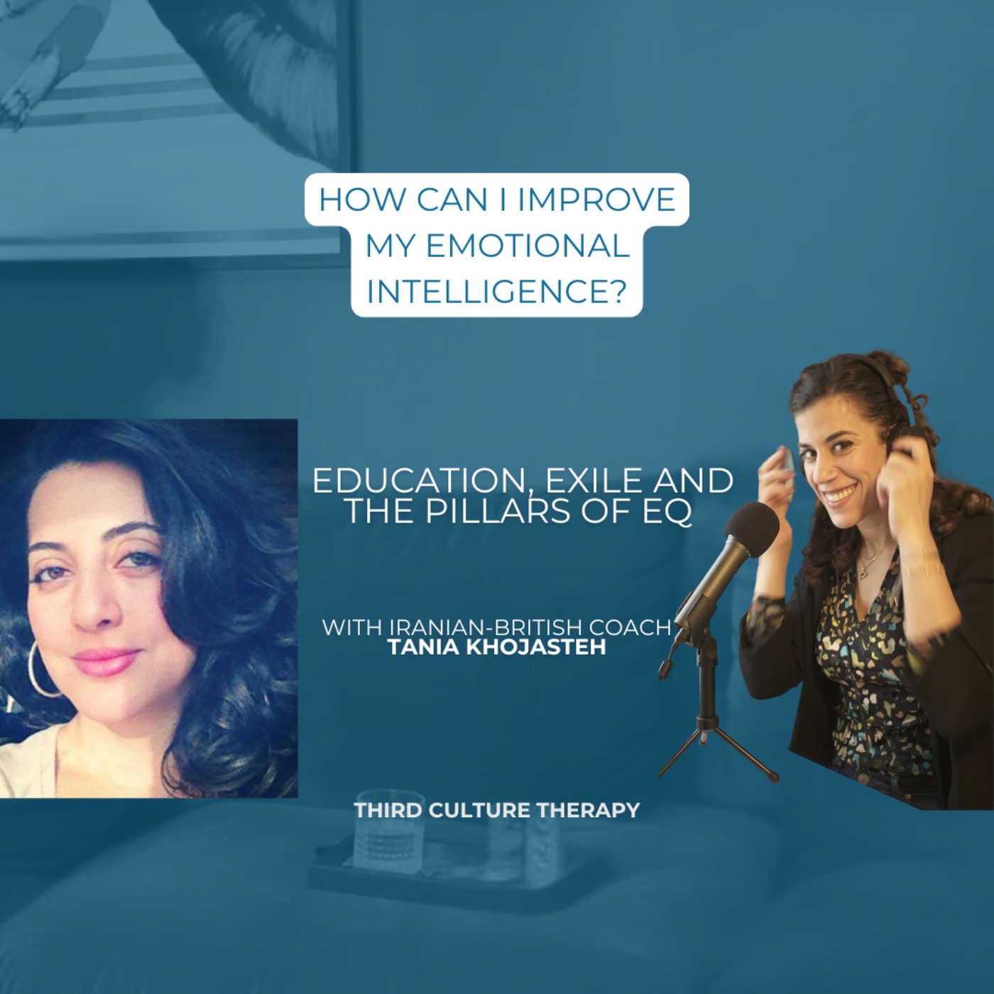 Third Culture Therapy