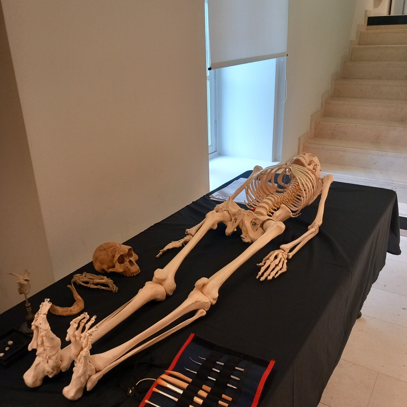 Retour sur le colloque - Archéologie et enquête judiciaire de l'INRAP - Novembre 2019 Tribunal de Paris