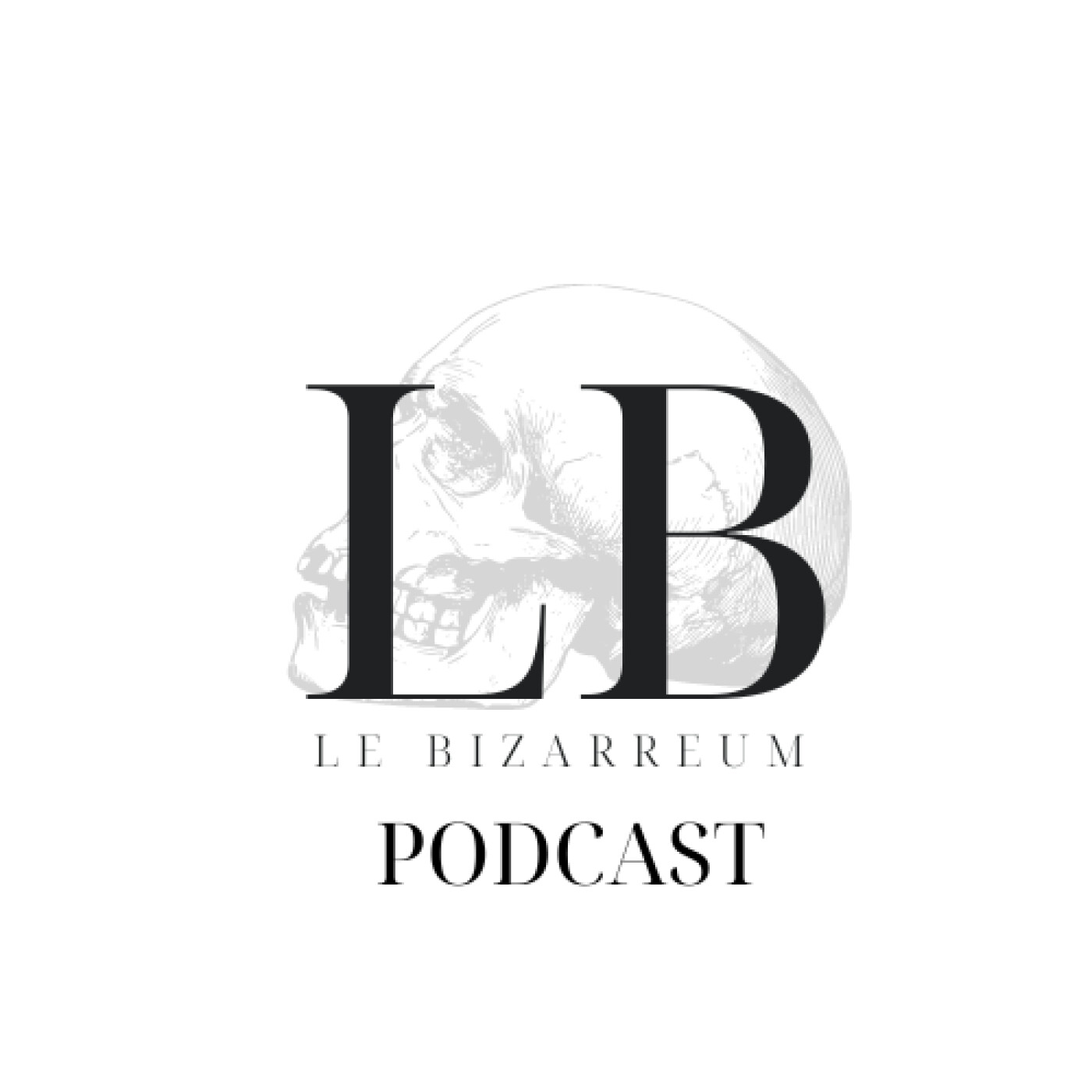 Episode #0 - Introduction du Bizarreum