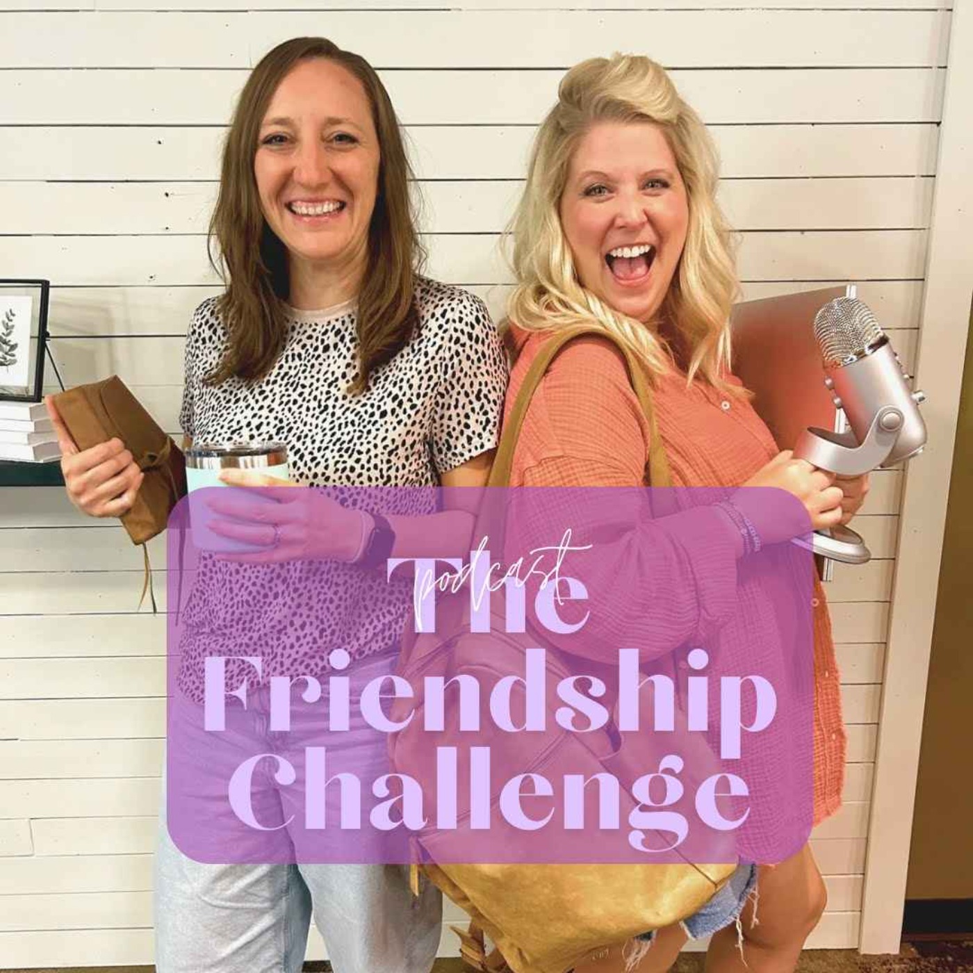 The Friendship Challenge episode artwork