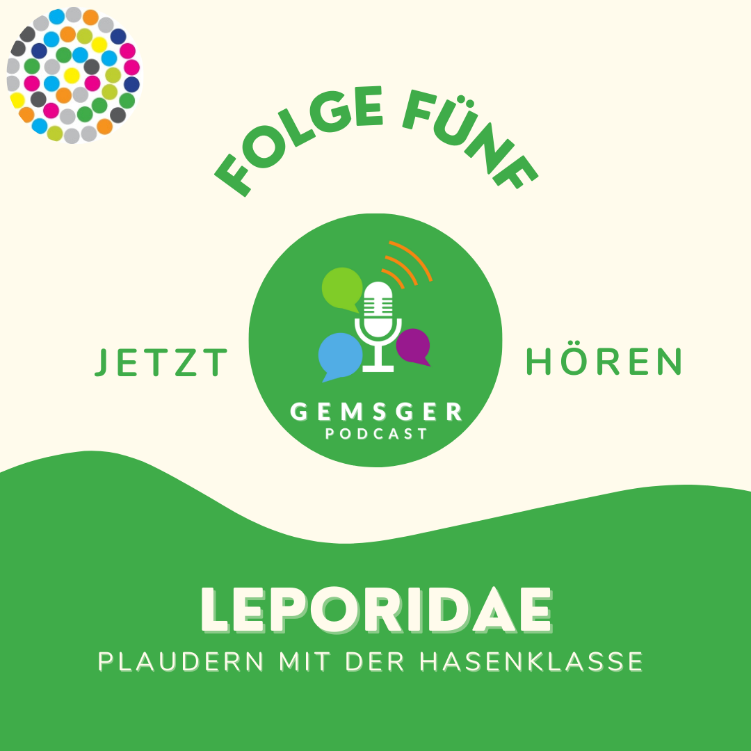 05 Leporidae - Bühne frei für die Schulhasen episode artwork
