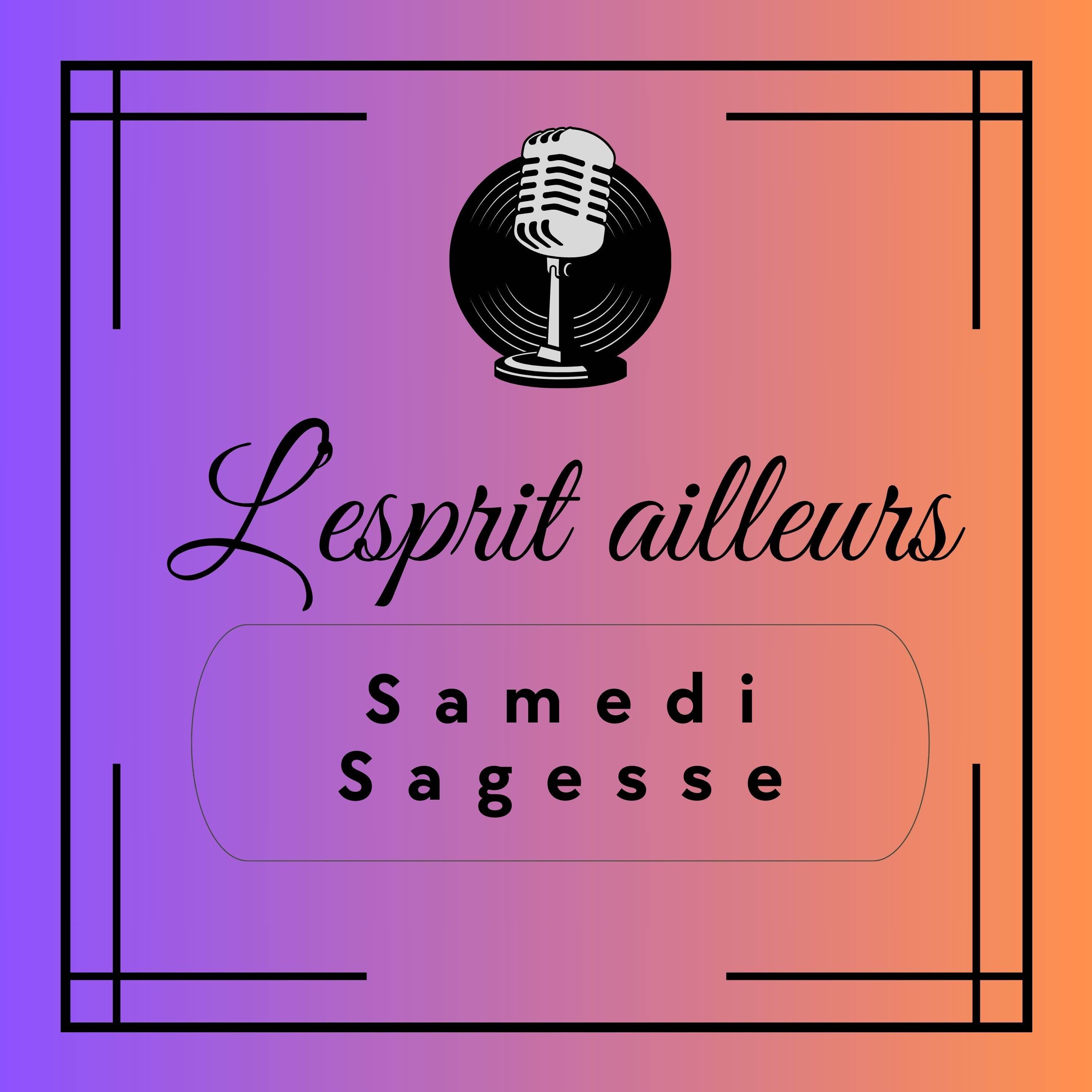 « L’esprit ailleurs » – Samedi Sagesse %2312 : Que savons-nous du rôle de la sagesse pratique ?