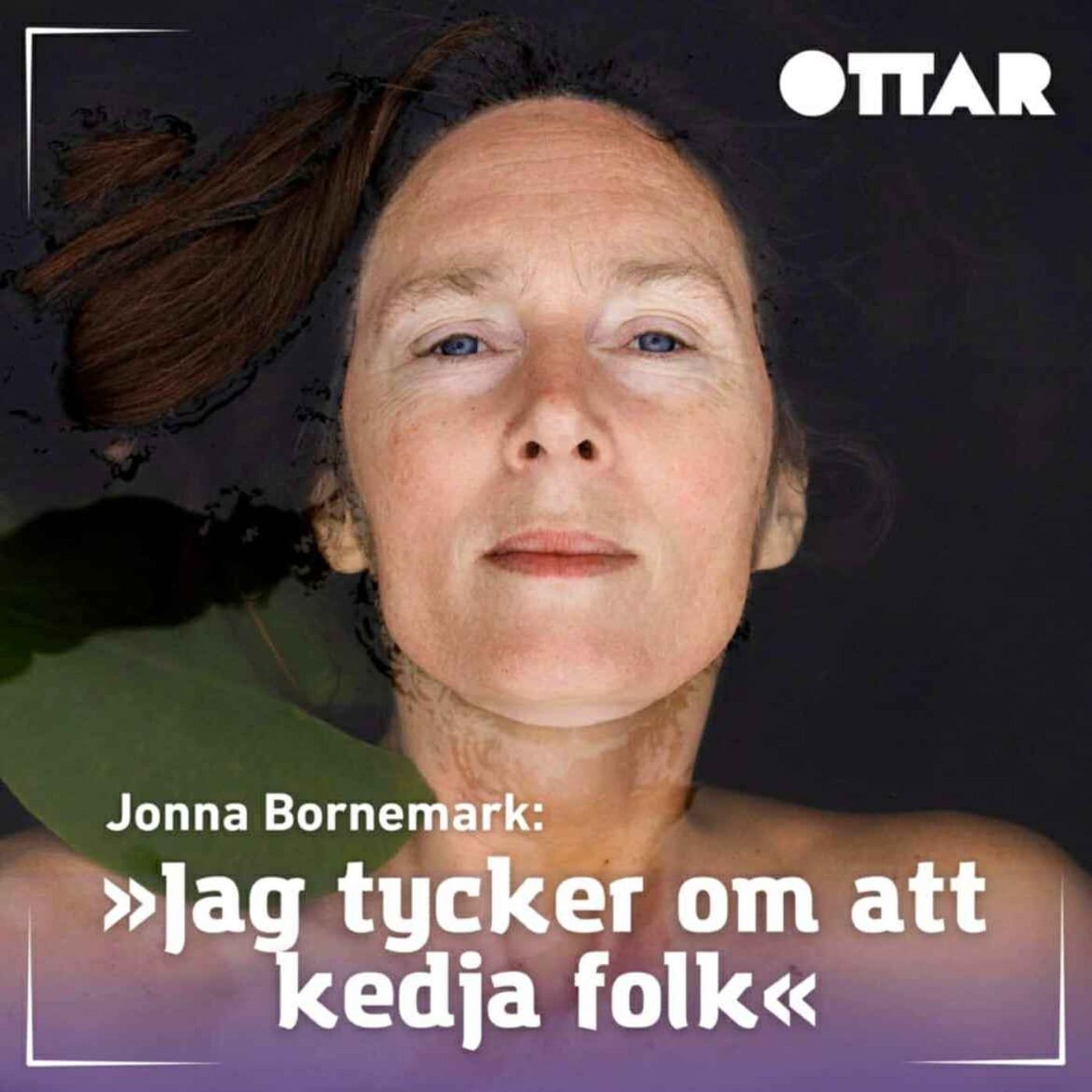 Tidskriften Ottar