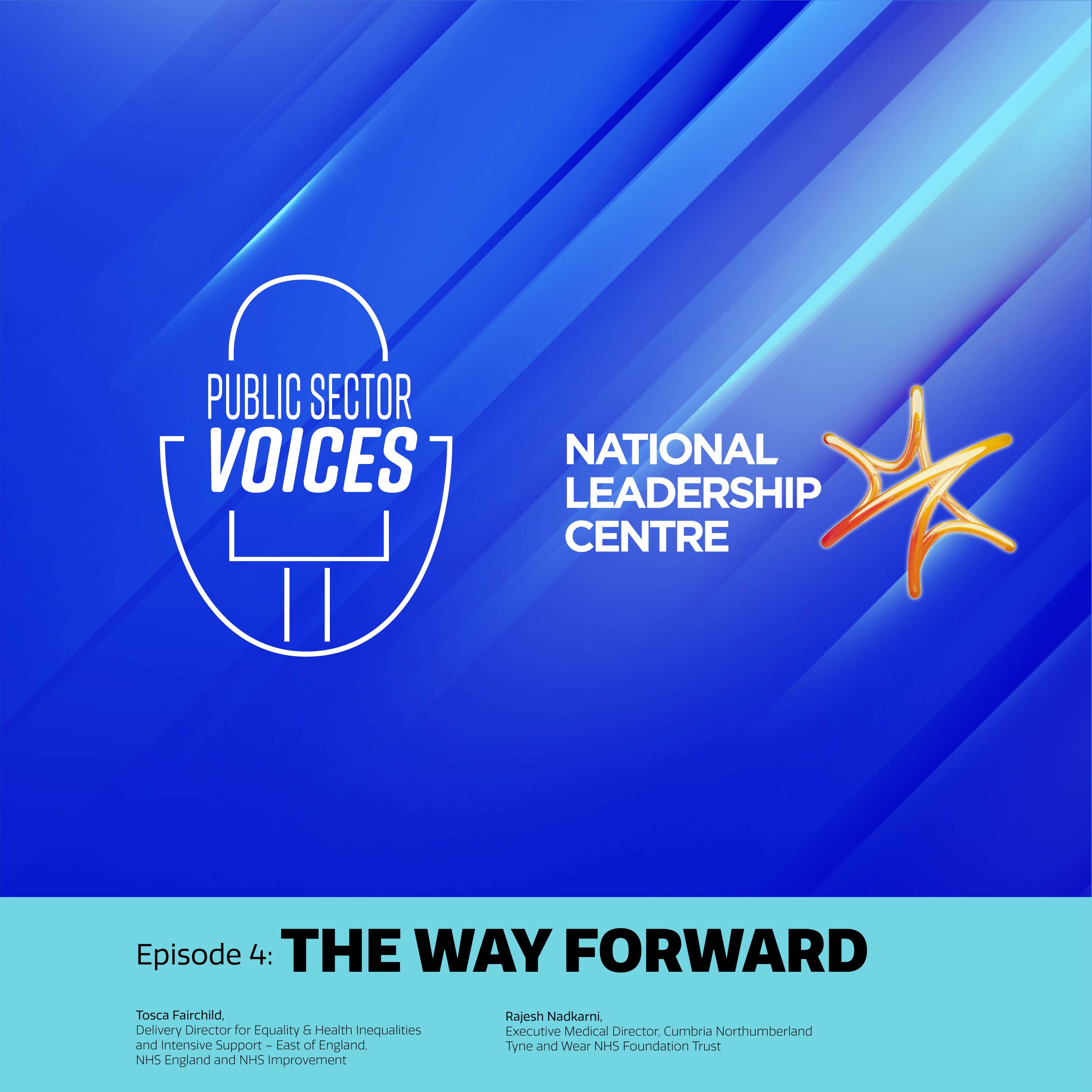 Public Sector Executive Podcast