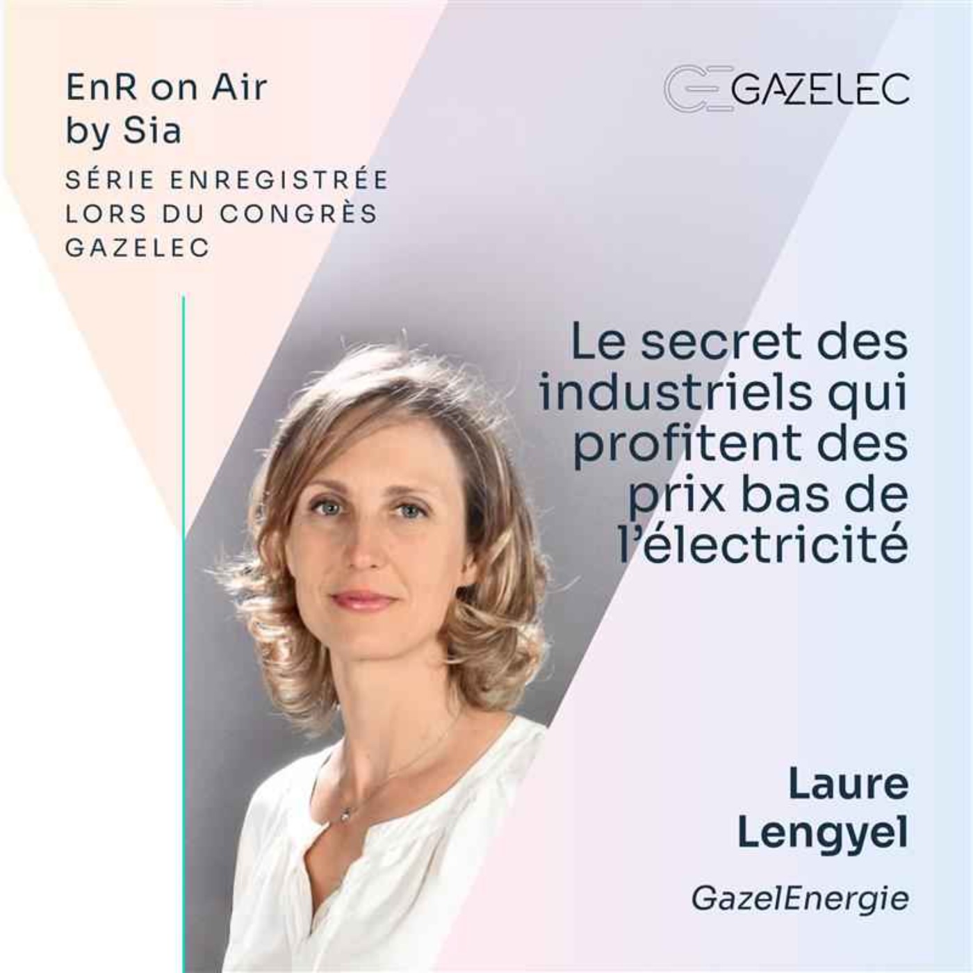 3/ Le secret des industriels qui profitent des prix bas de l’électricité episode artwork