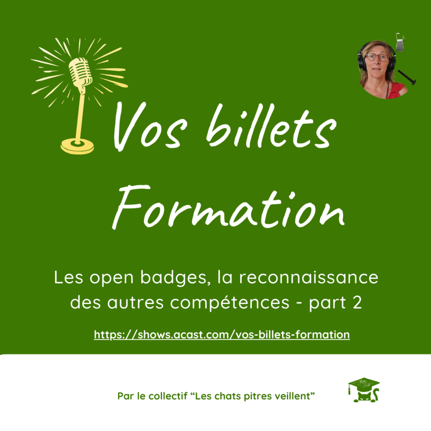Les open badges, la reconnaissances des autres compétences_2