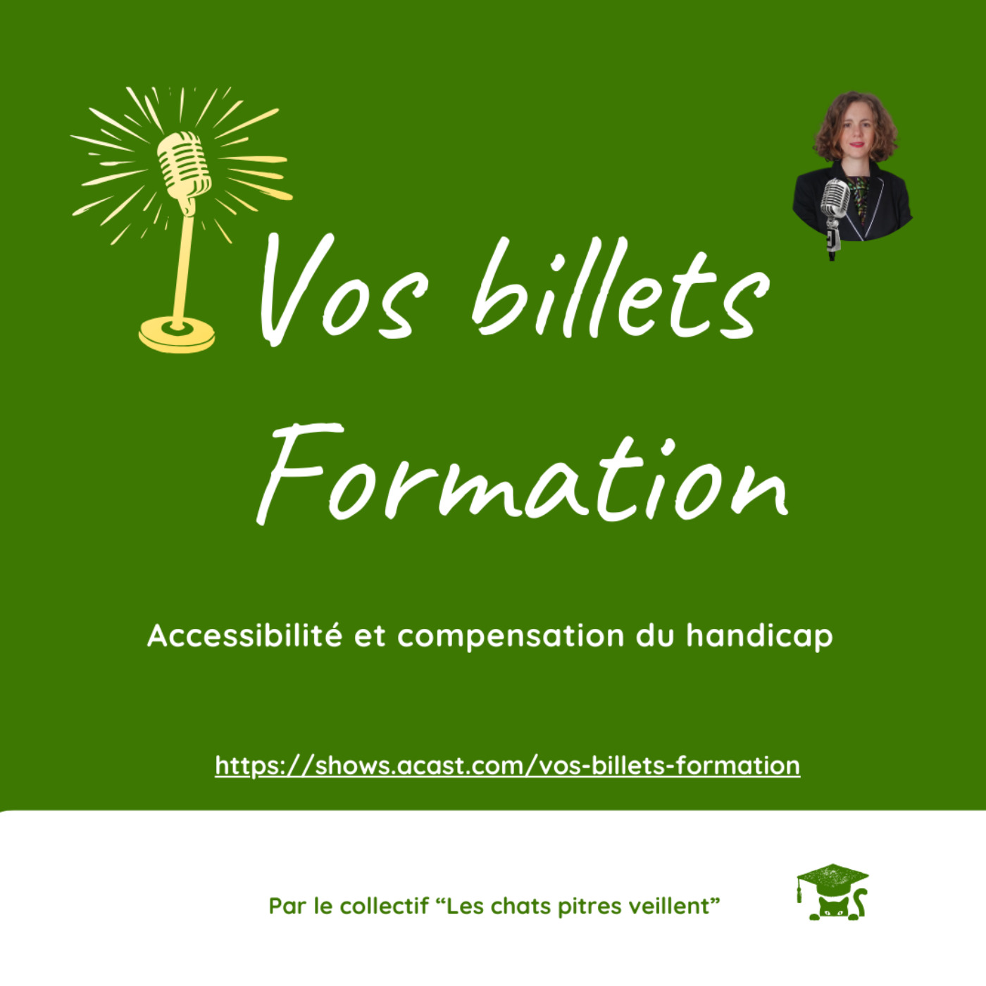Accessibilité et compensation du handicap