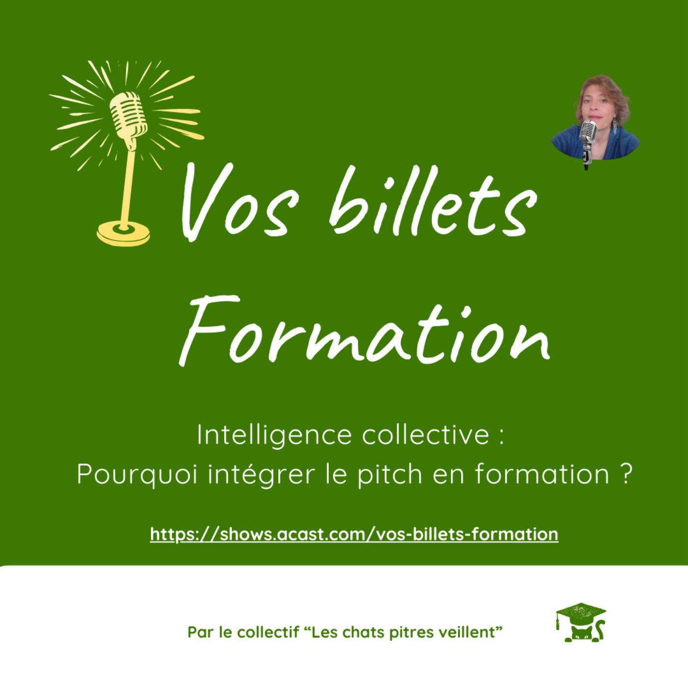 Intelligence collective : pourquoi integrer le pitch en formation ?