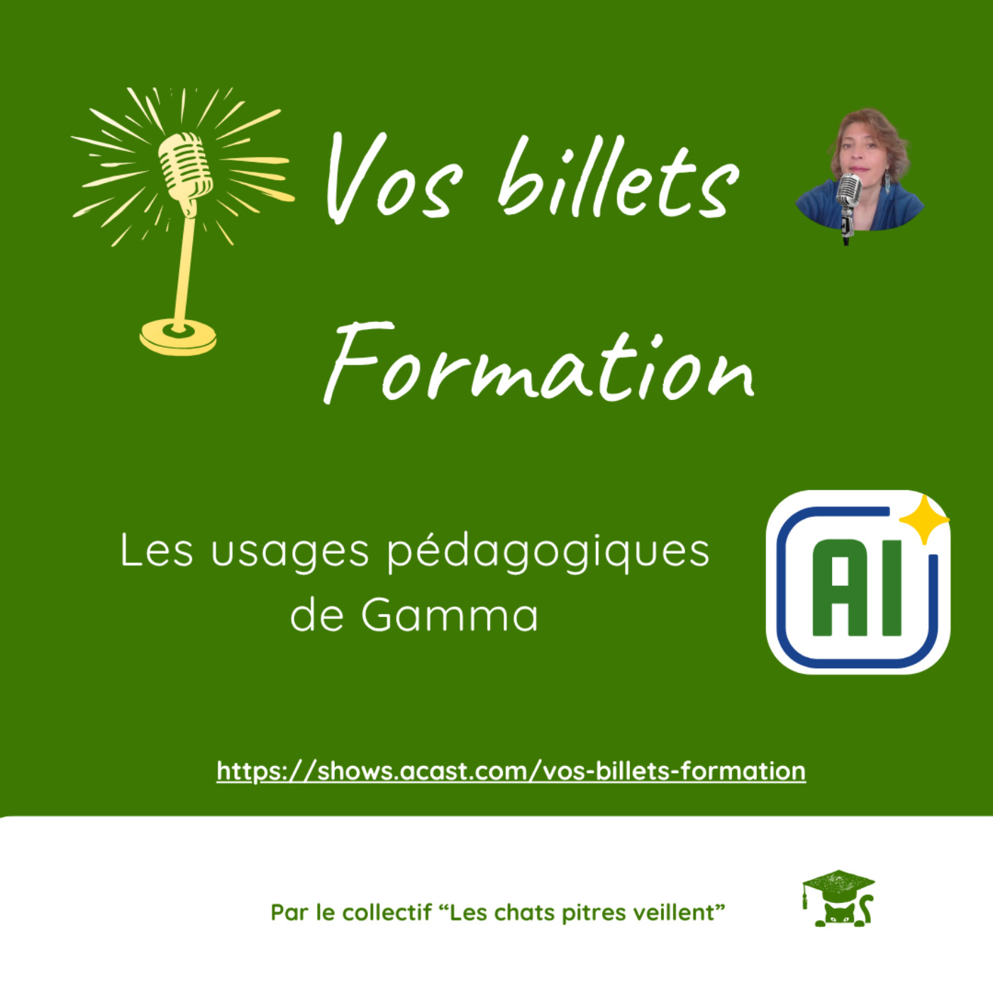 Les usages pédagogiques de Gamma episode artwork