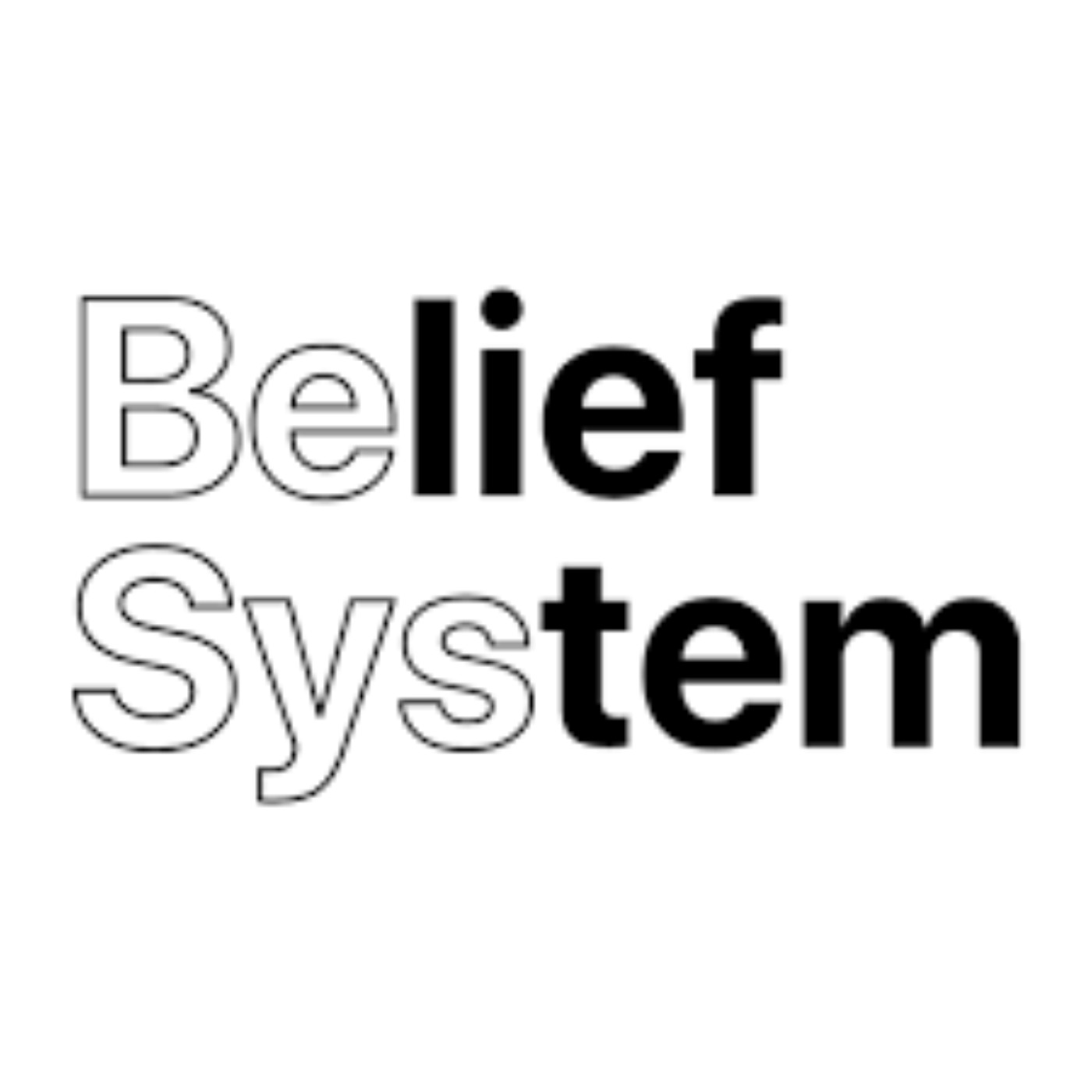 The Belief System