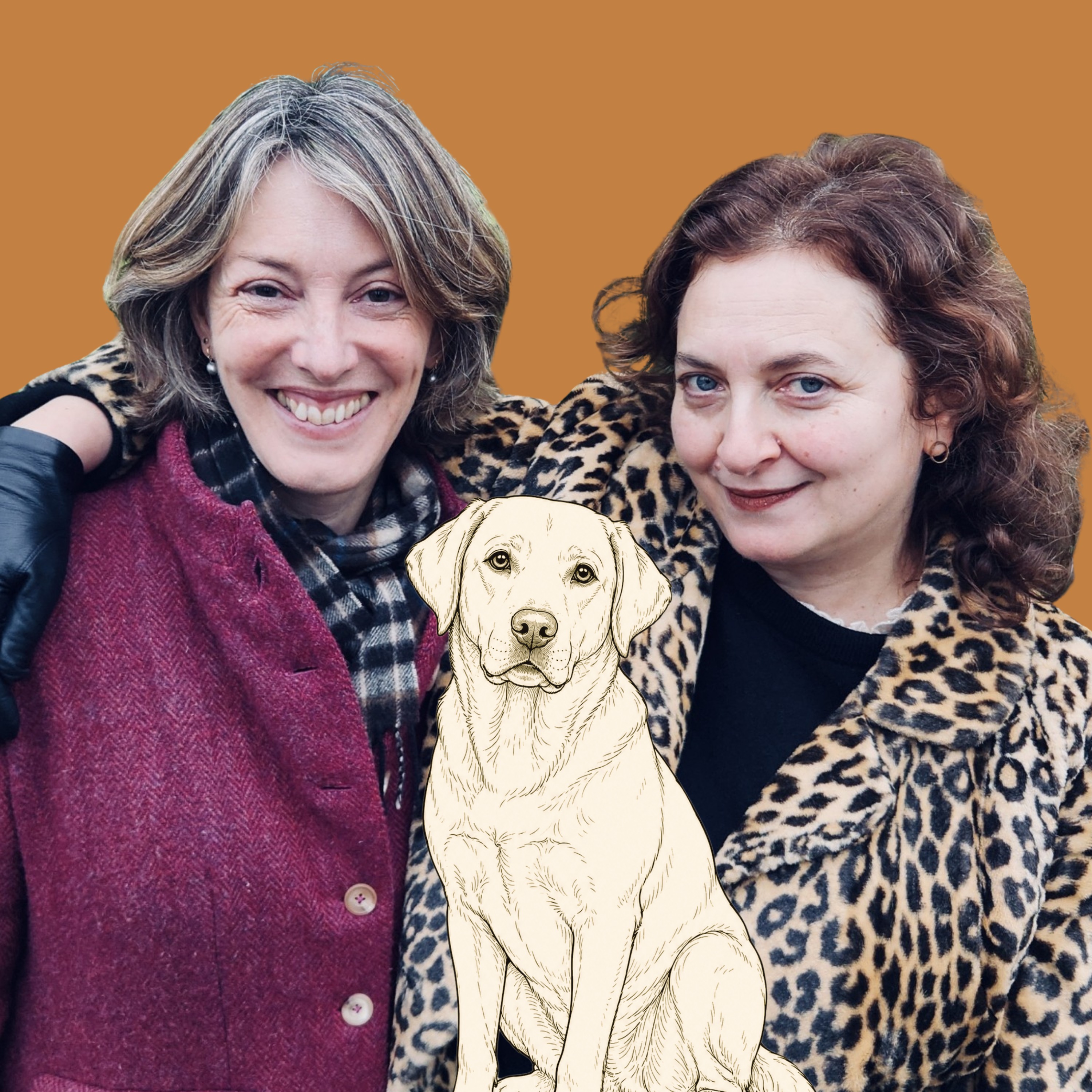 Labrador Retrievers: Did the British Invent the Perfect Dog? episode artwork