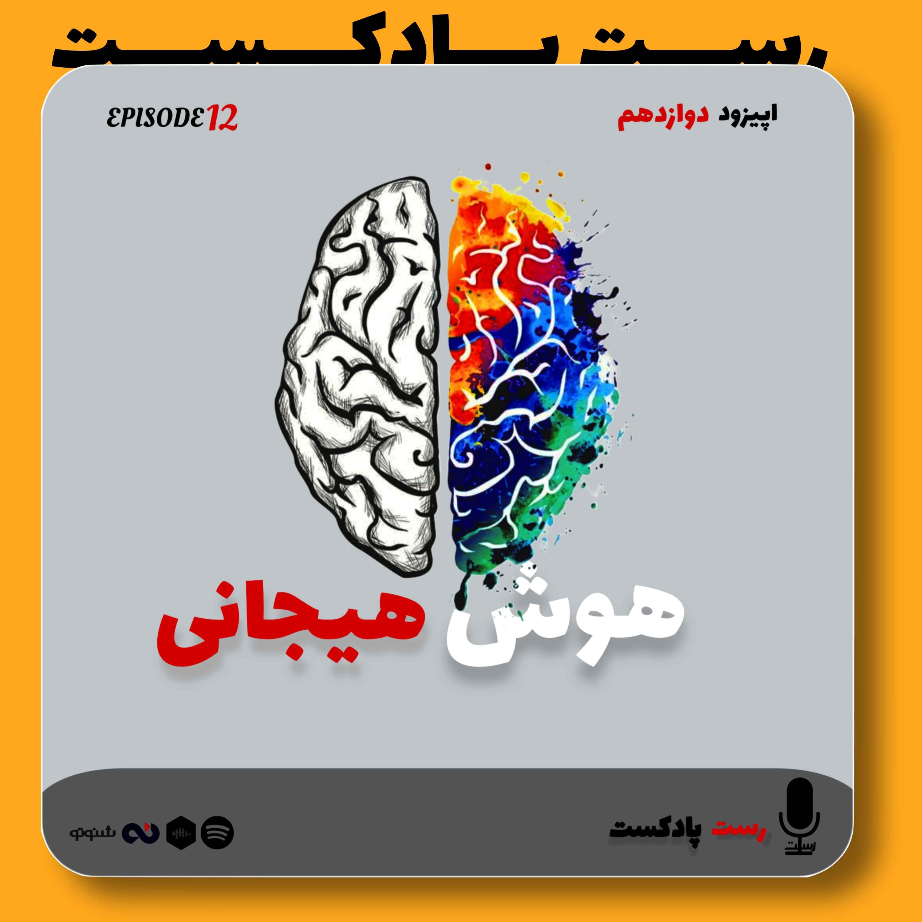 12.هوش هیجانی