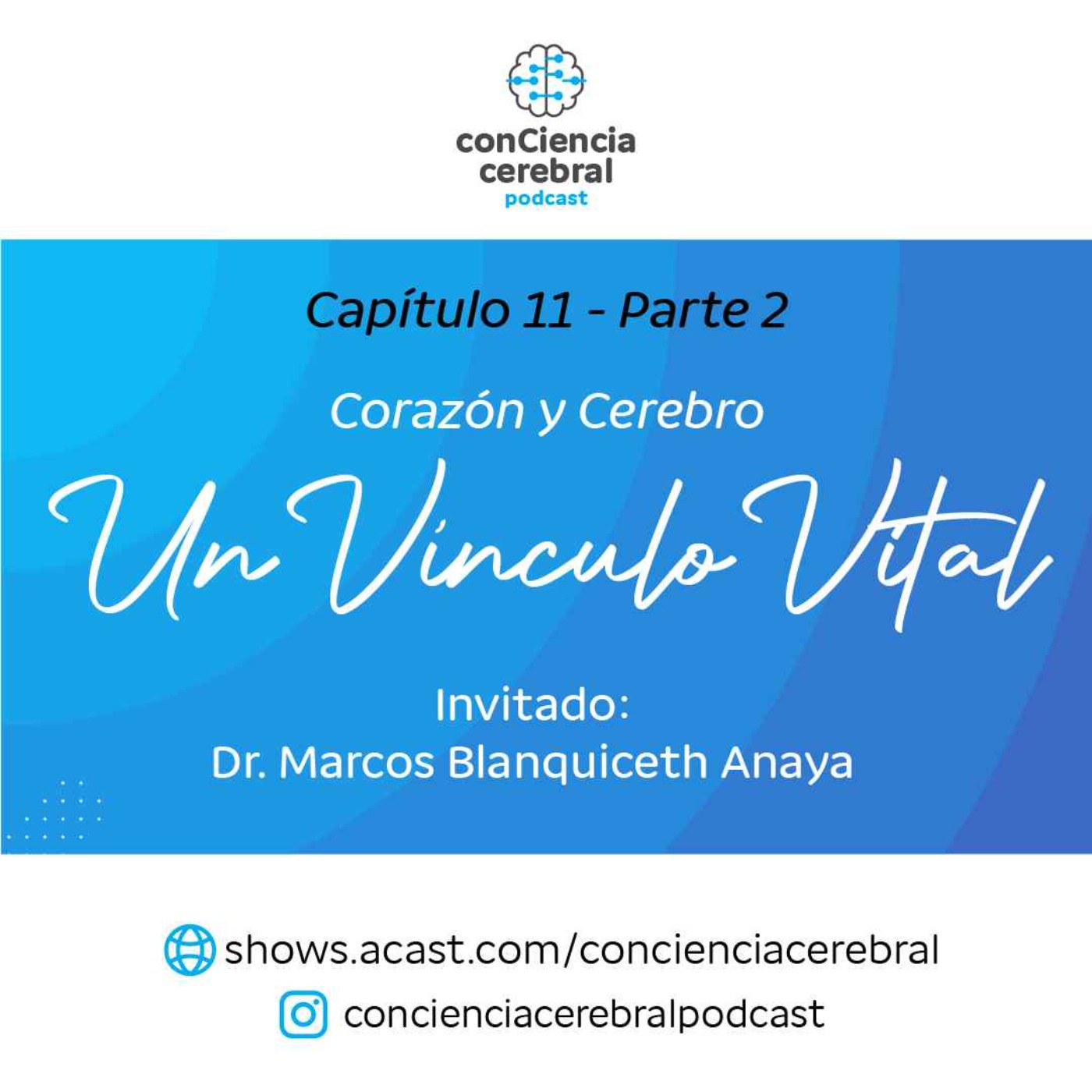 Corazón y Cerebro: Un Vínculo Vital -  Parte 2