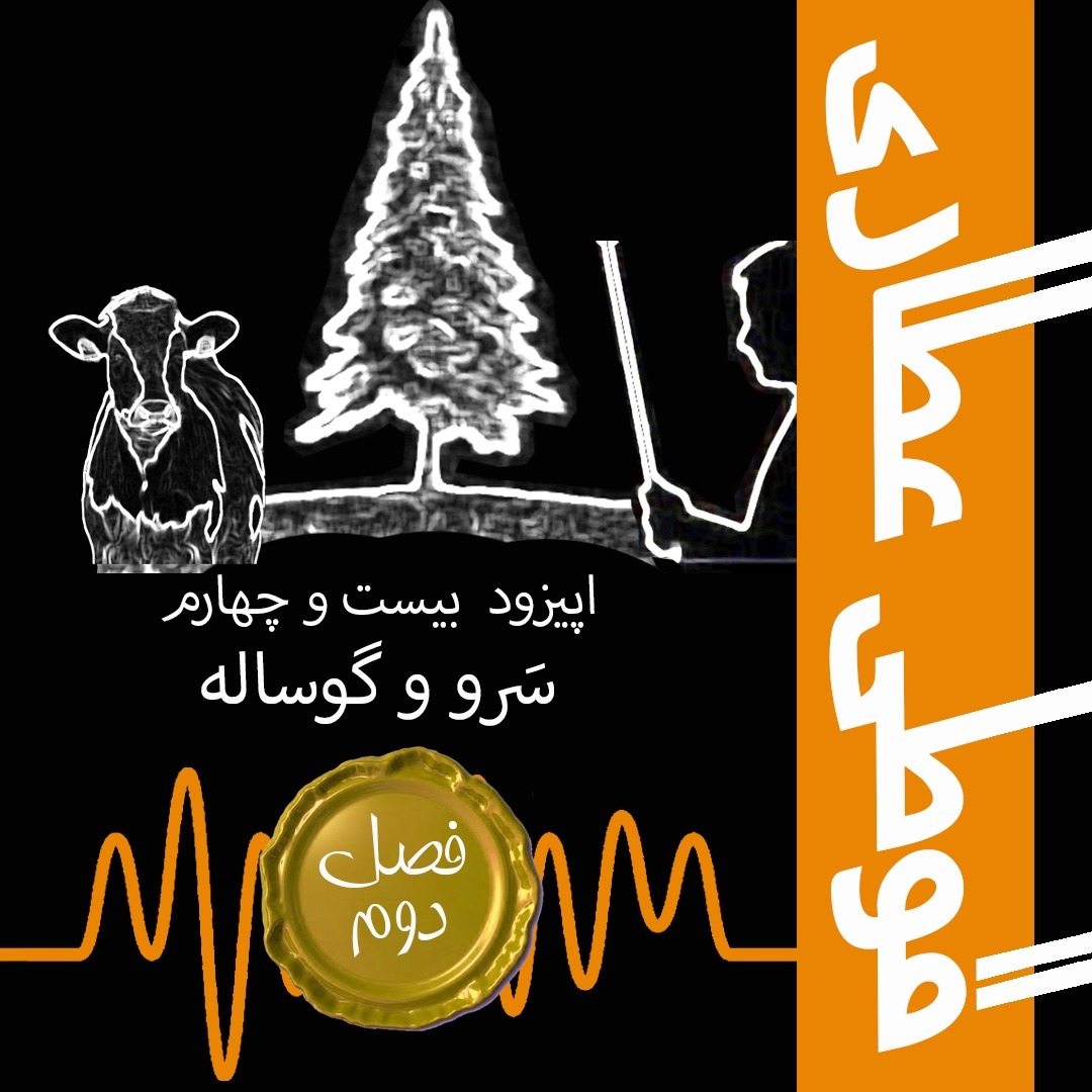 فصل دوم اپیزود بیست و چهارم: سرو و گوساله