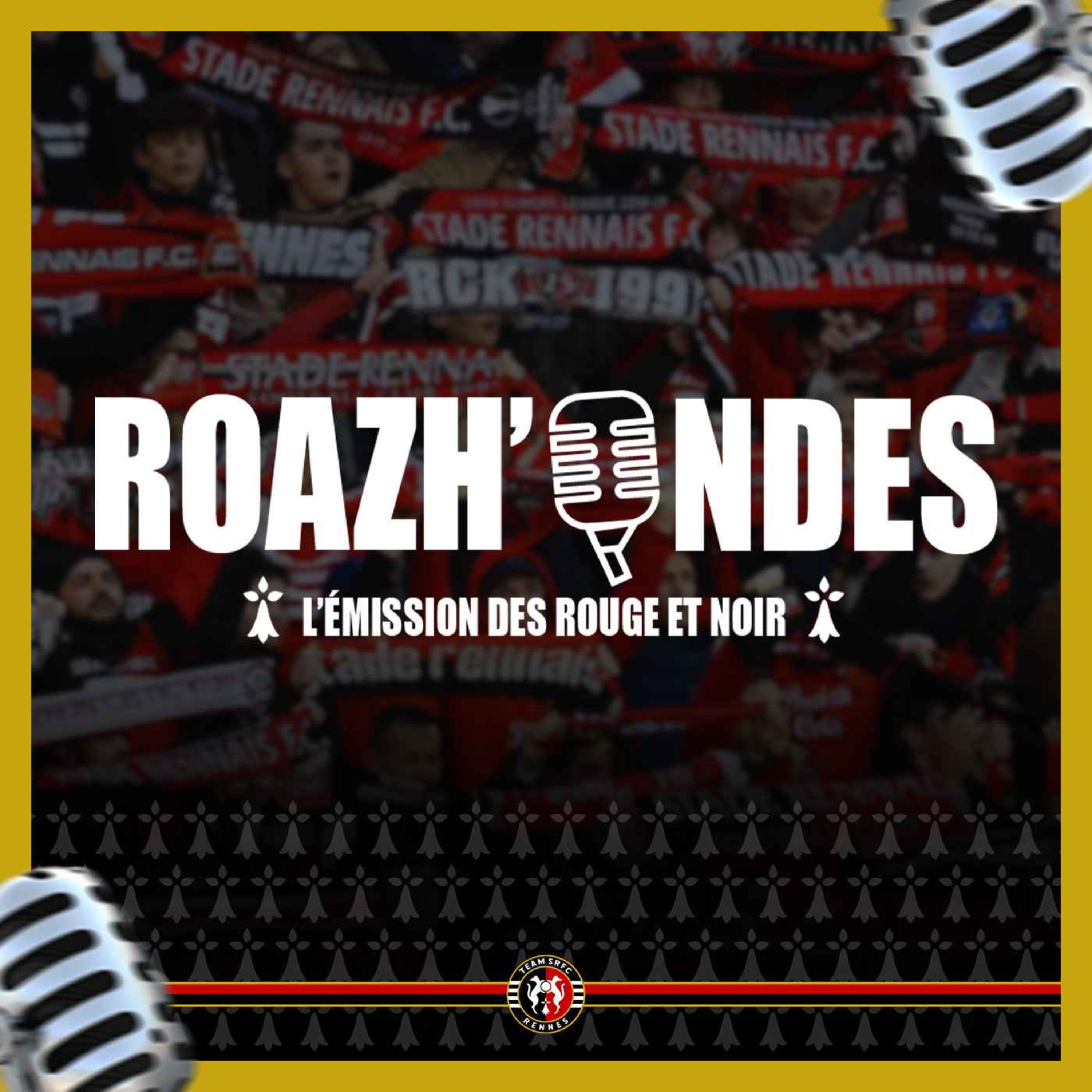 🎙️ Roazh'Ondes - S2E19 🔴⚫ episode artwork