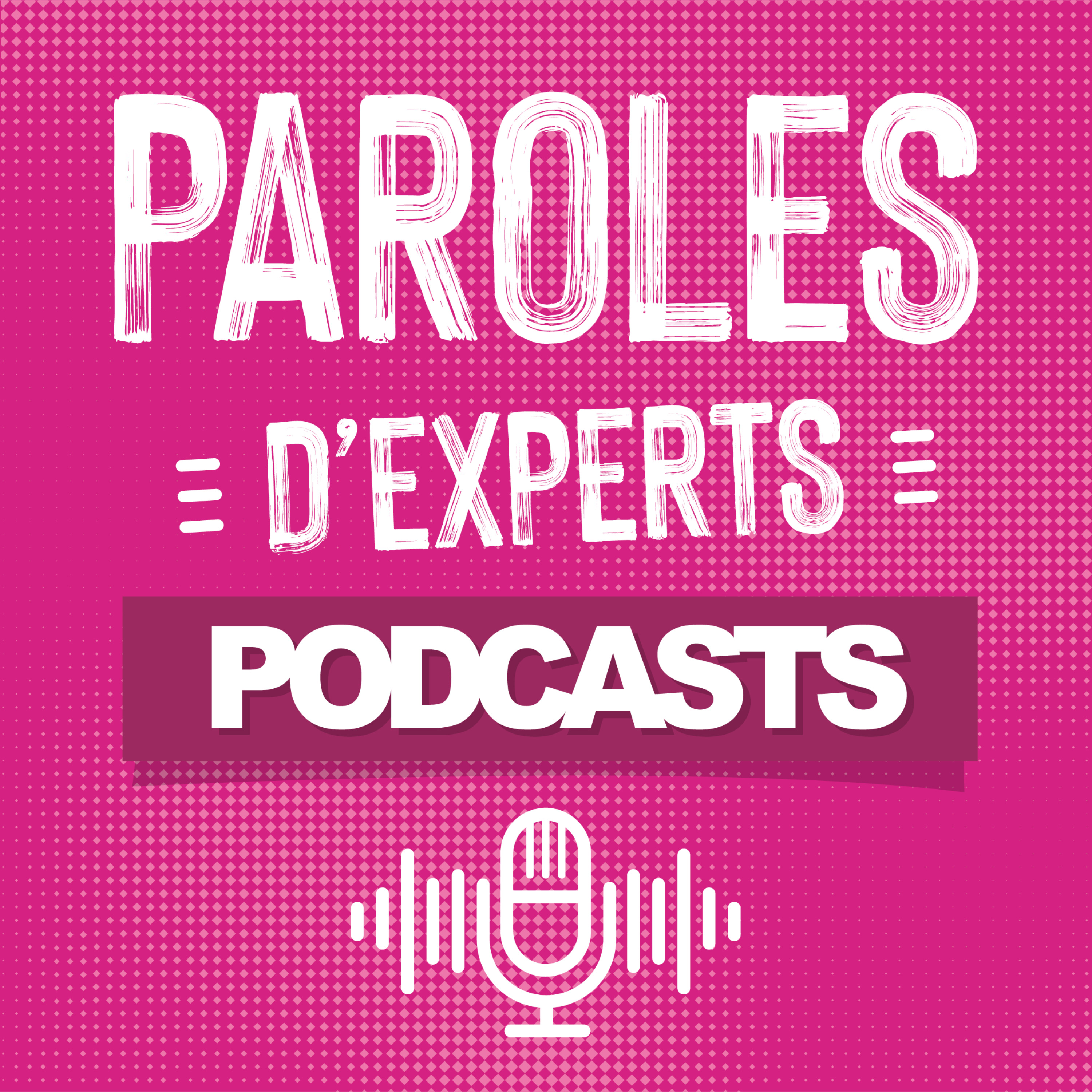 Paroles d’experts - Soins palliatifs et éthique : un chemin partagé avec les Dr Marco-Achille Gambirasio et Sébastien Abad episode artwork